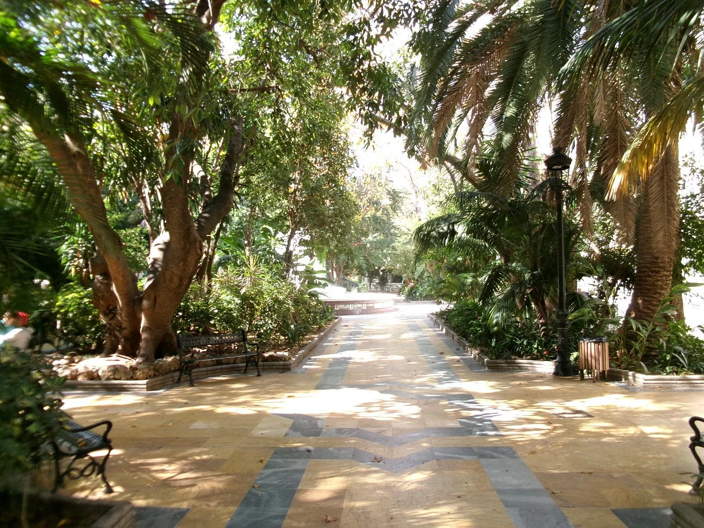 alameda2.jpg