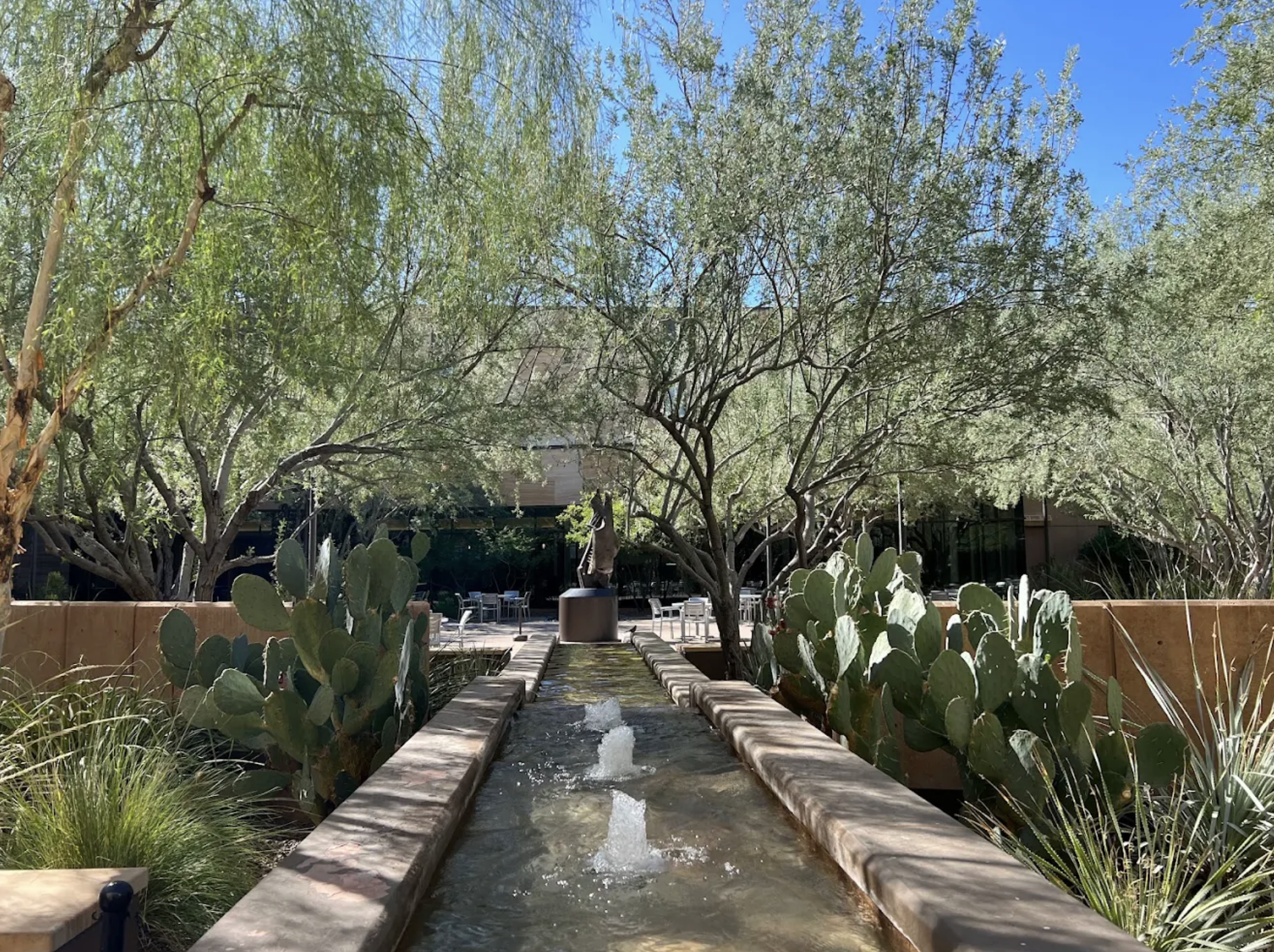 Where the Desert Meets Culture: Three Museums That Shaped My Phoenix Trip