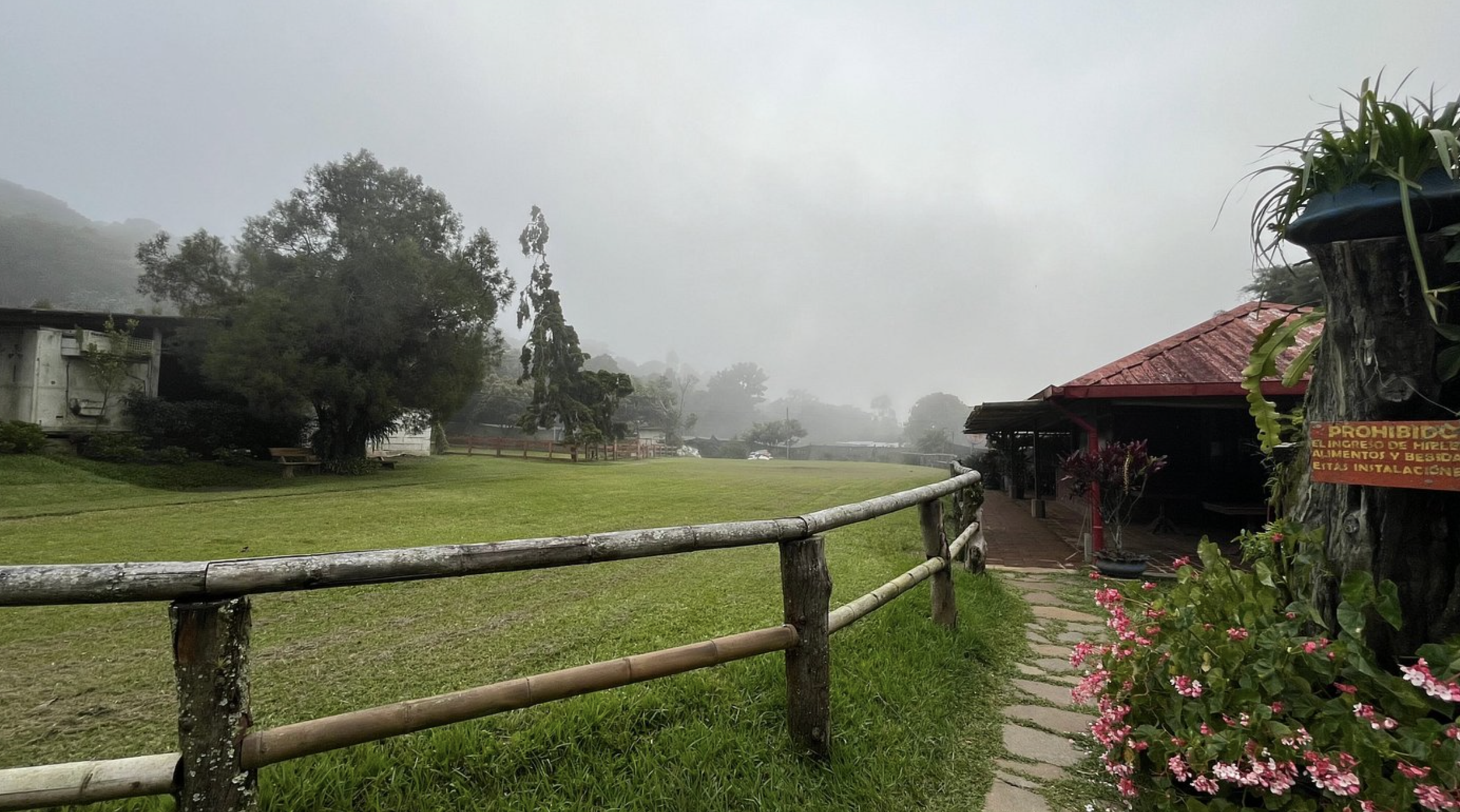 Black Sand Beaches, Misty Mountains &amp; World-Class Coffee: El Salvador Travel Guide