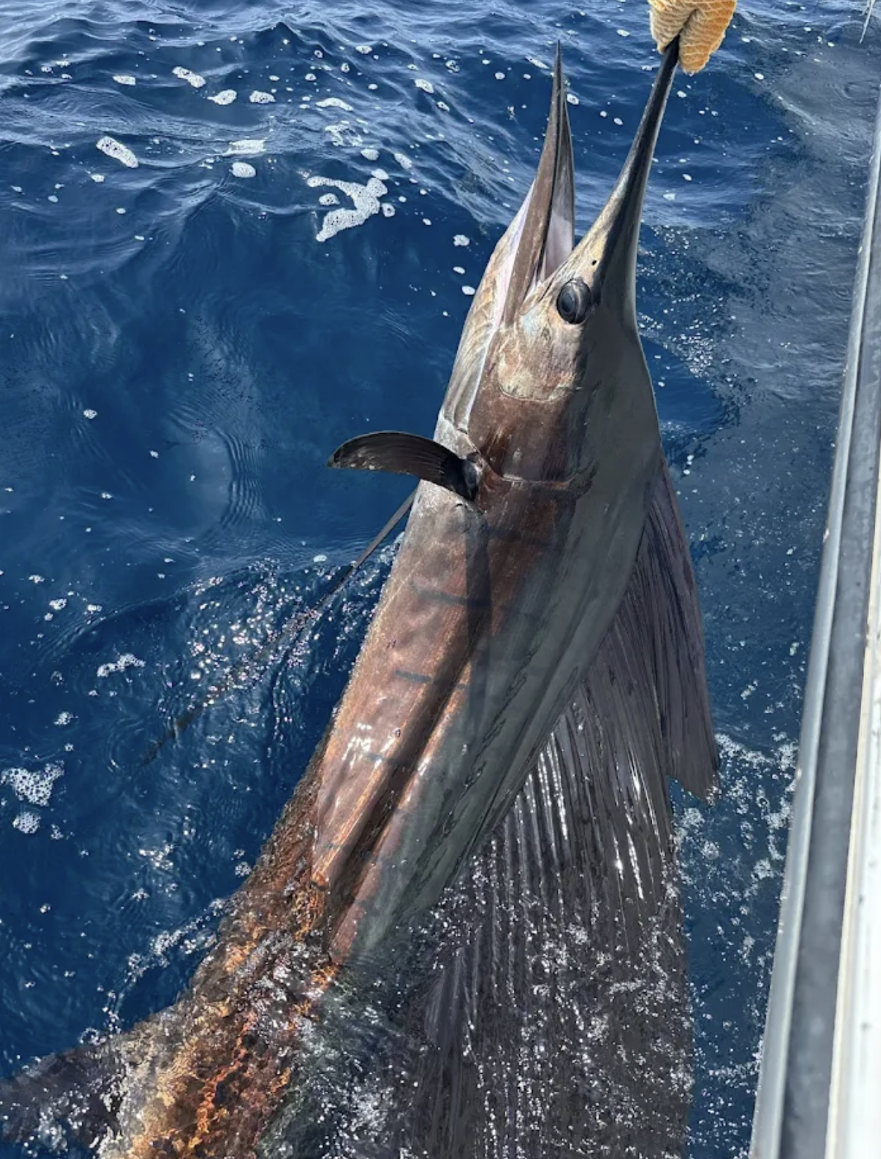 Screenshot 2026-04-07 at 15.36.28.png