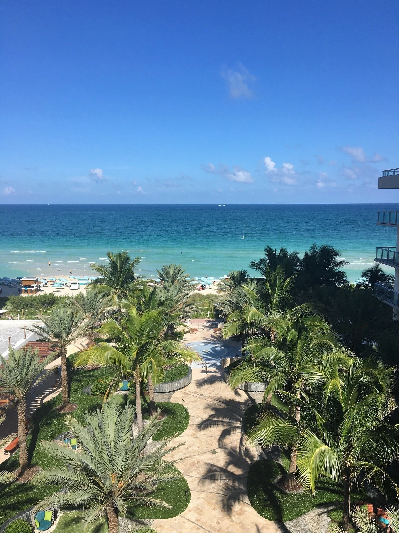 3 Wellness Treatments in Miami That Actually Do Something