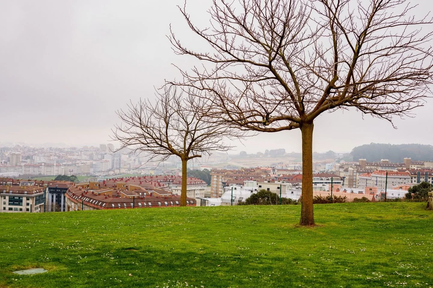 The Best Fine Dining Restaurants in A Coruña. Three Meals Worth Dressing Up For