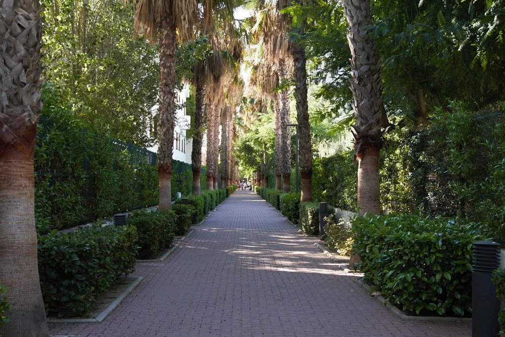 wandelpaden-door-hotel.jpg