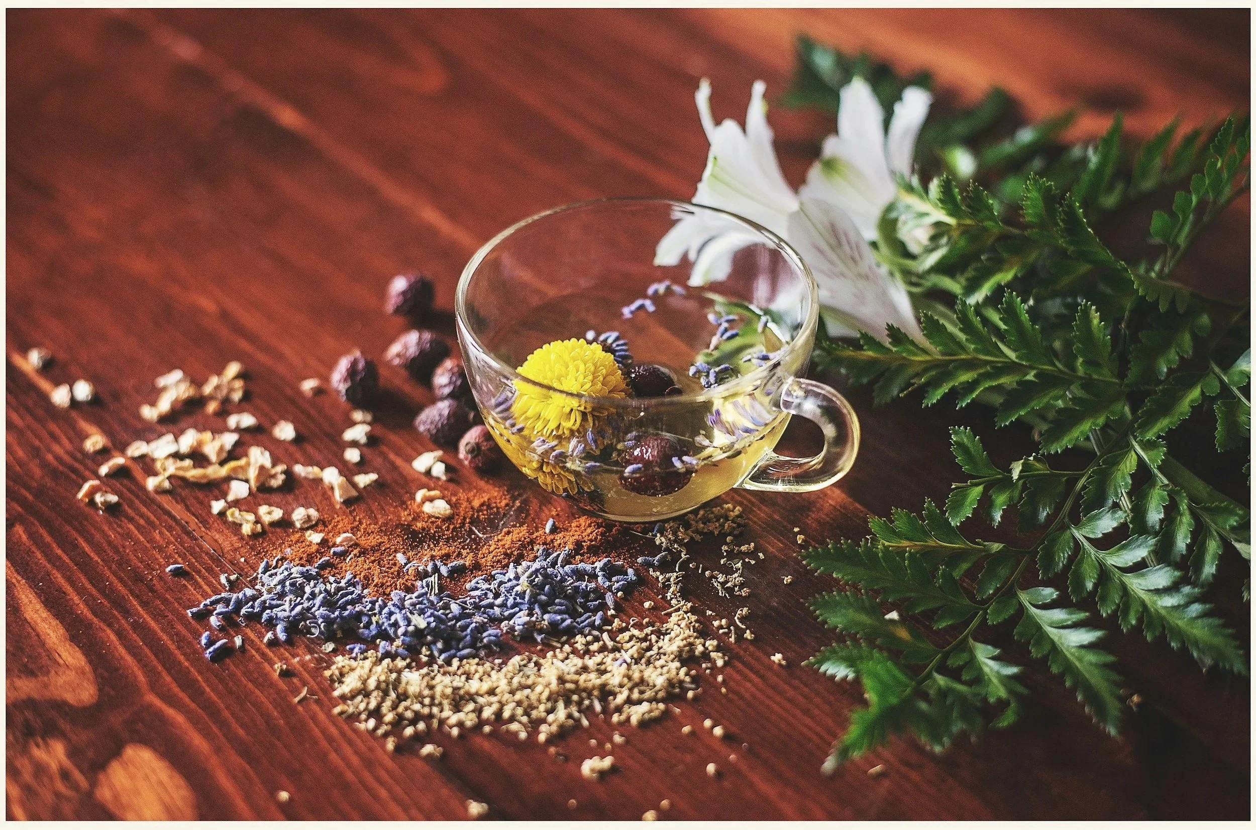 A clear glass teacup with a yellow flower and dried herbs and berries inside, placed on a wooden surface alongside scattered dried herbs and lavender, with fresh green fern and white flowers in the background.