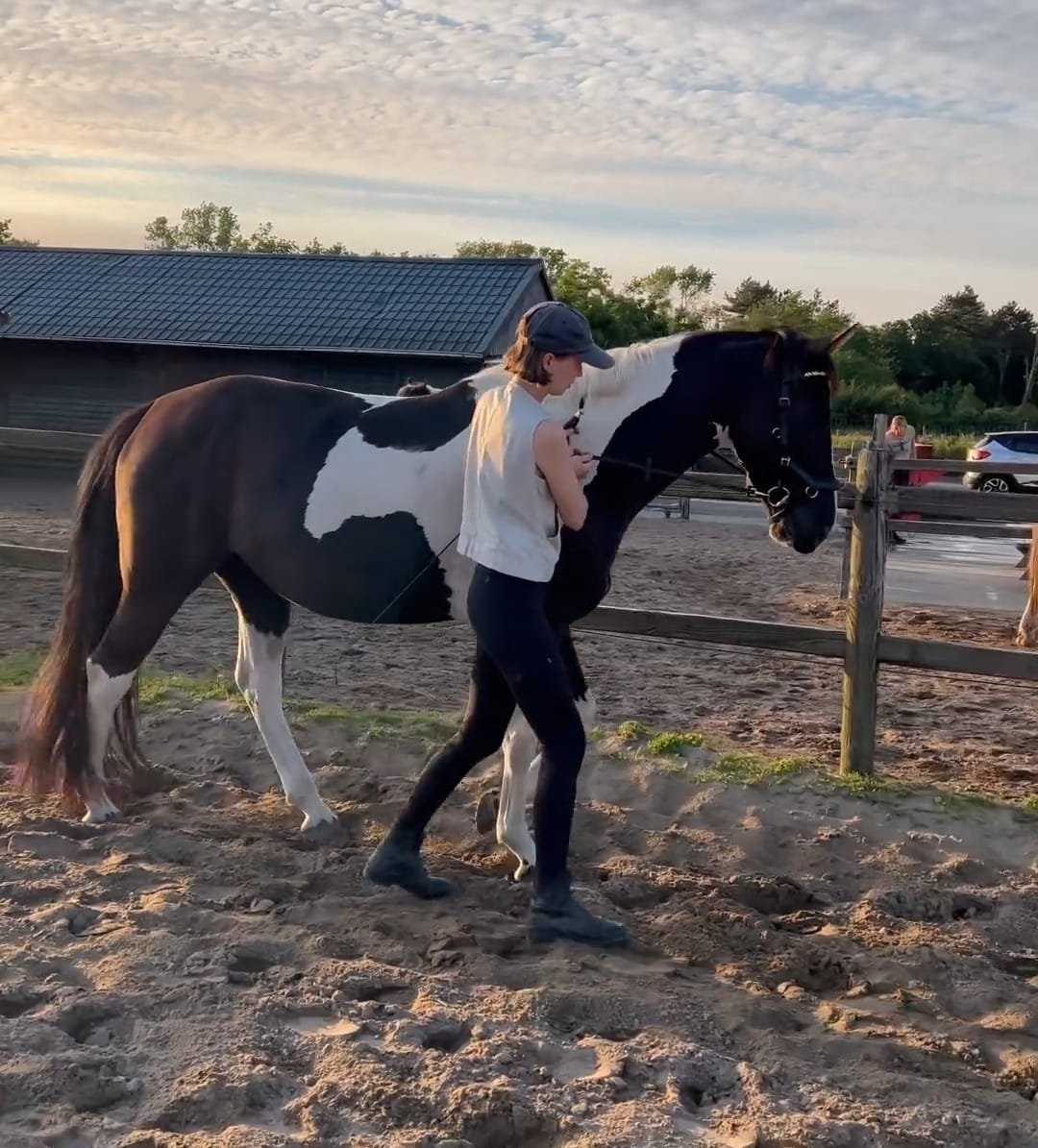 WhatsApp Image 2024-08-16 at 21.47.08.jpeg