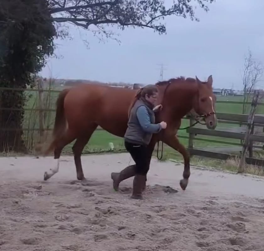 WhatsApp Image 2024-08-16 at 22.03.17.jpeg