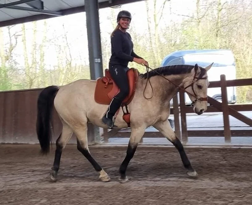 WhatsApp Image 2024-08-16 at 21.54.48.jpeg