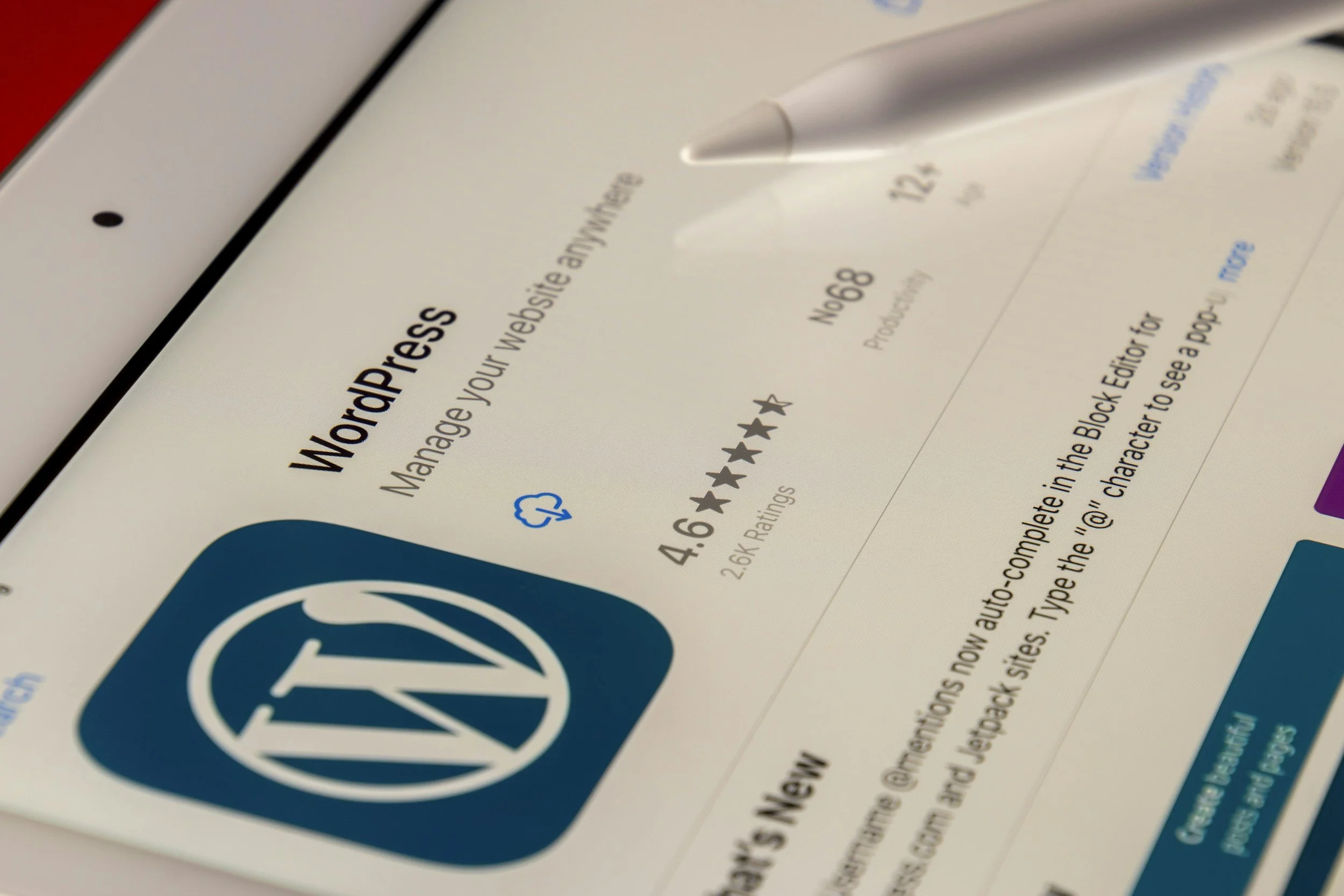 How to Transfer Your Domain from WordPress to Squarespace