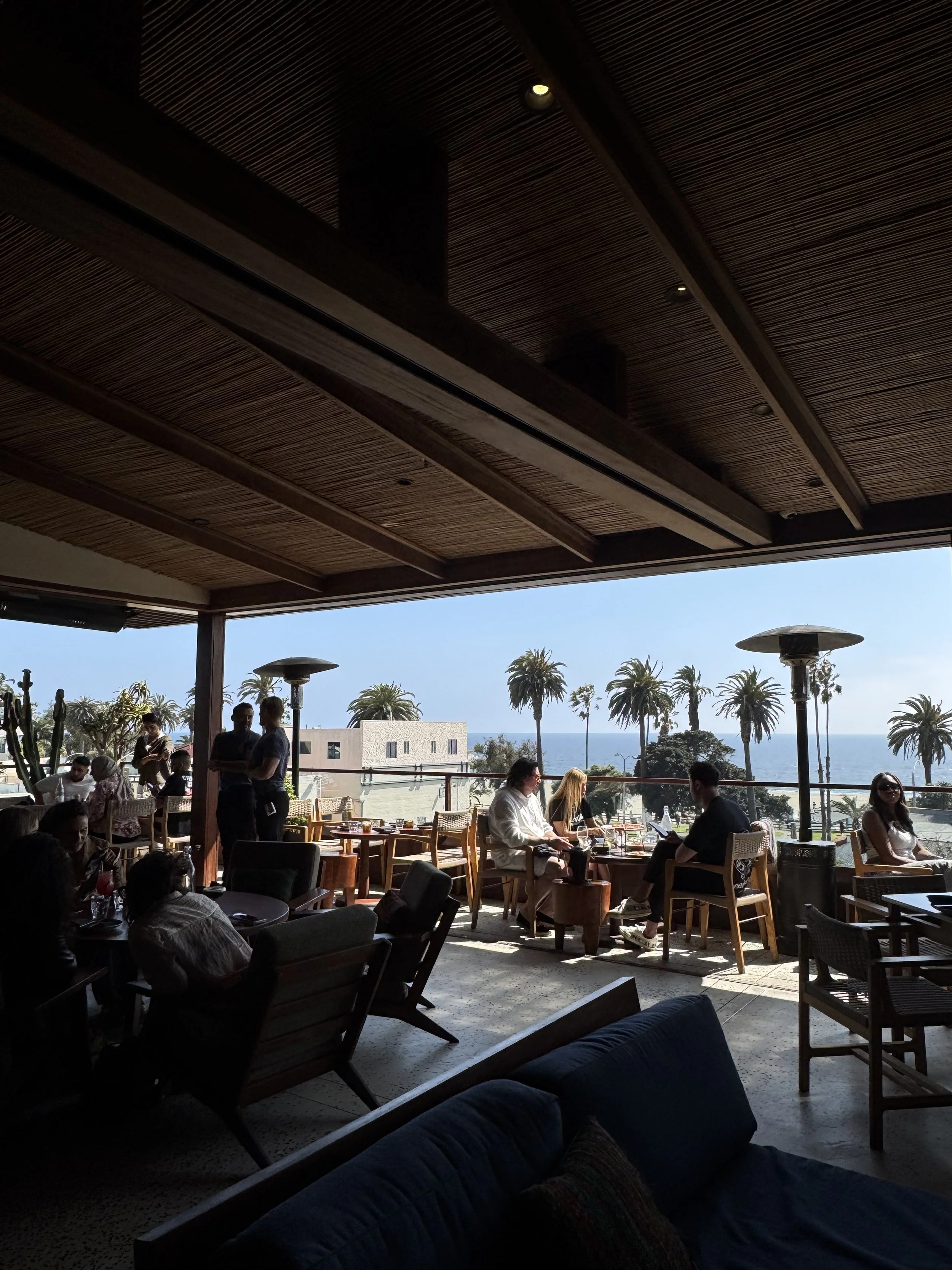 Palm Trees in the Breeze: LA
