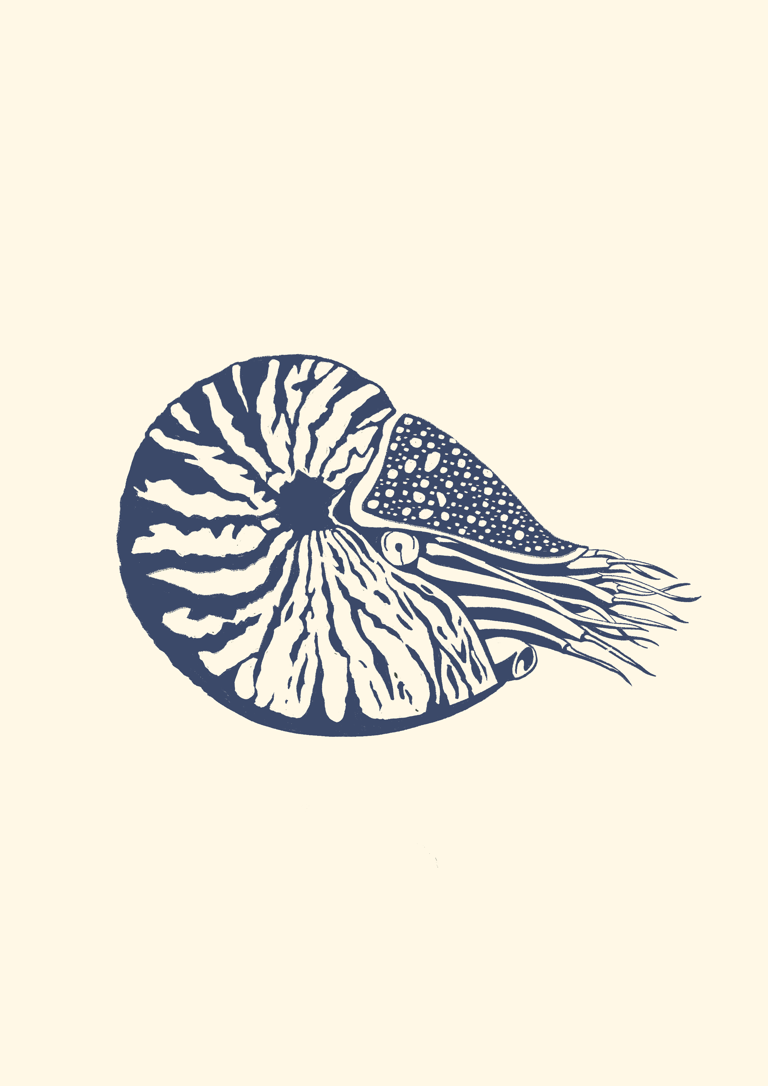 Ammonite Print - Minimalist Blue Series.png