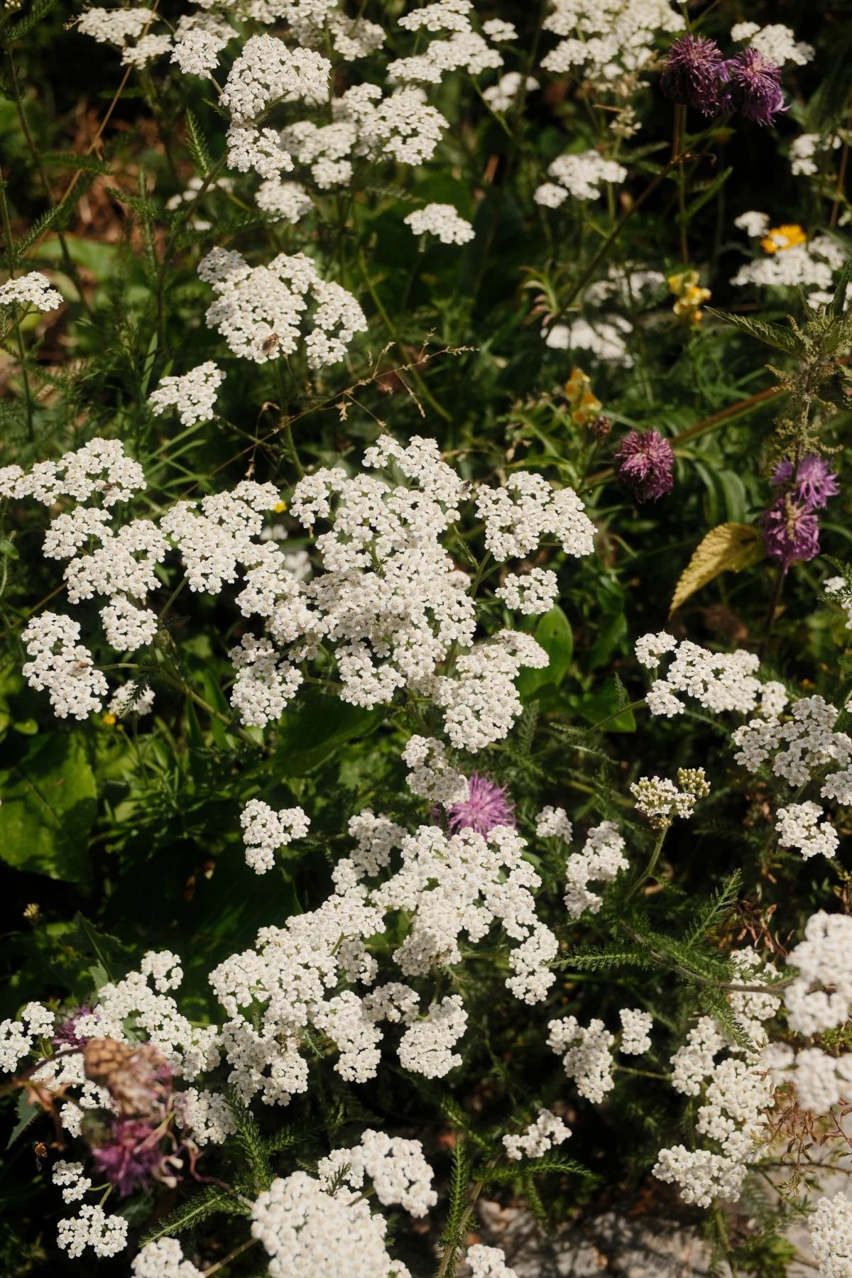 So… I’m Quitting My Job and Moving Abroad