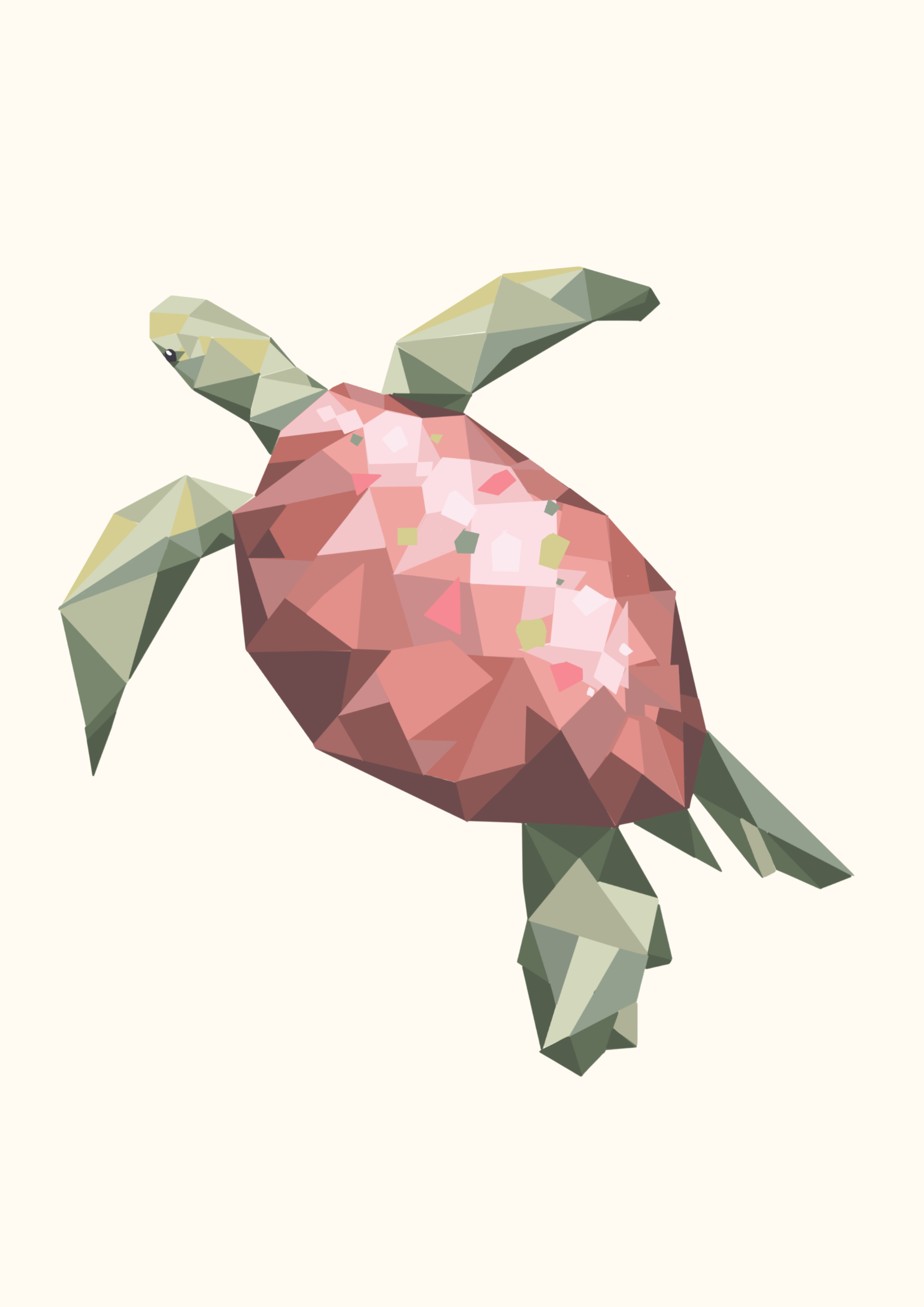 Geometric Turtle - High DPI.png