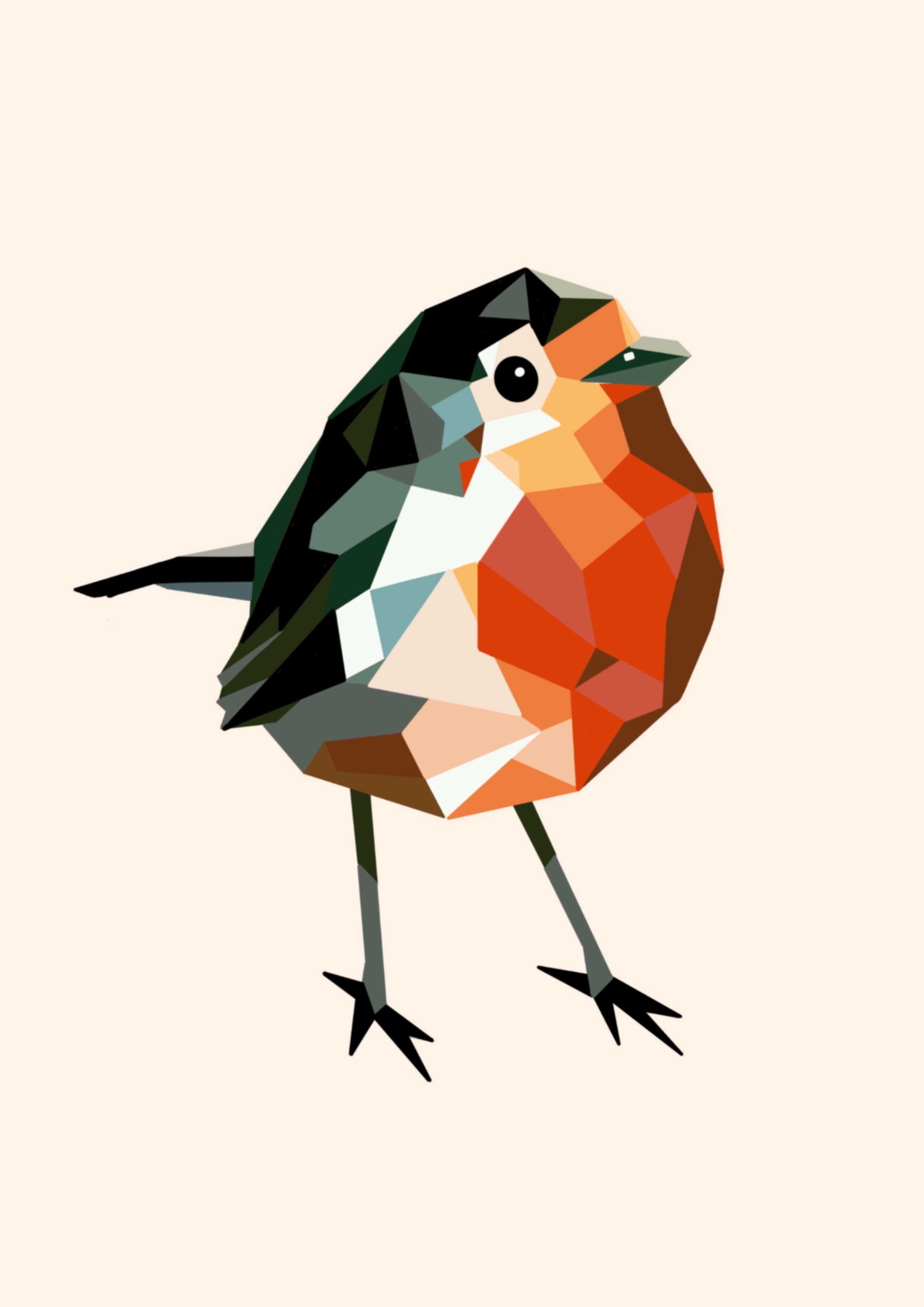 Robin Xmas Print.png