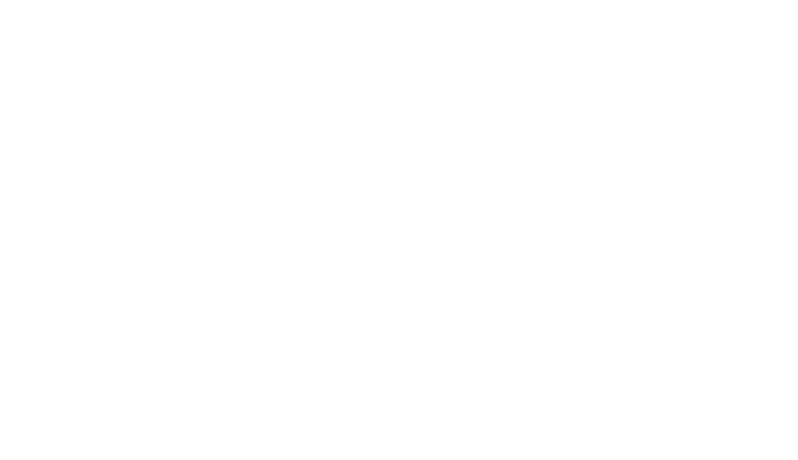 remax.png