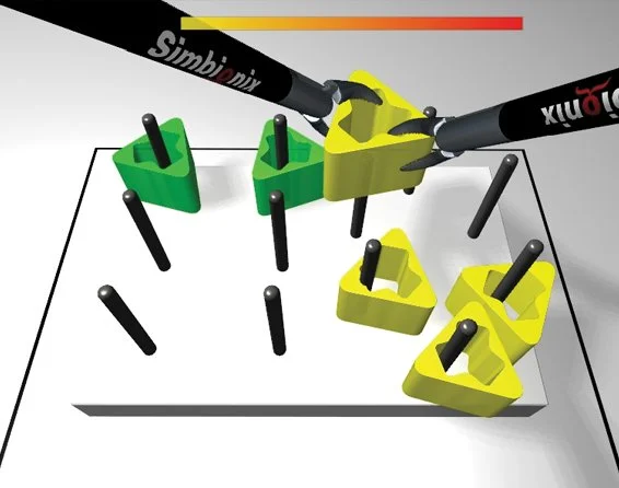 Essential task module.jpg