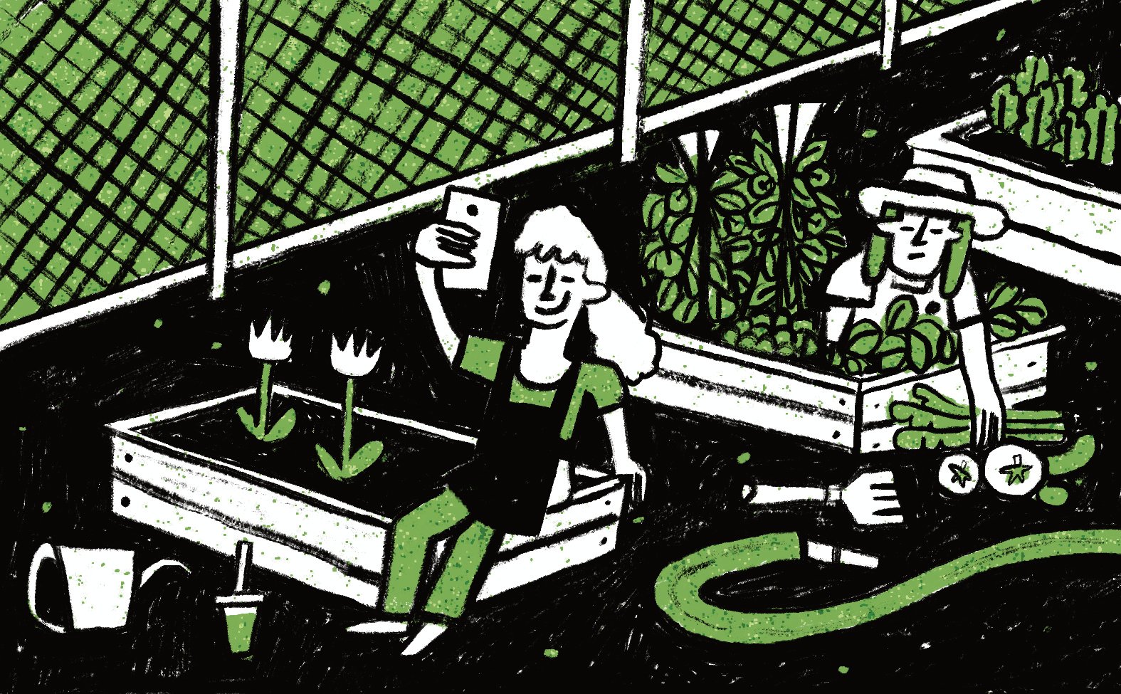 With a focus on picture-perfect aesthetics, my community garden has become gentrified