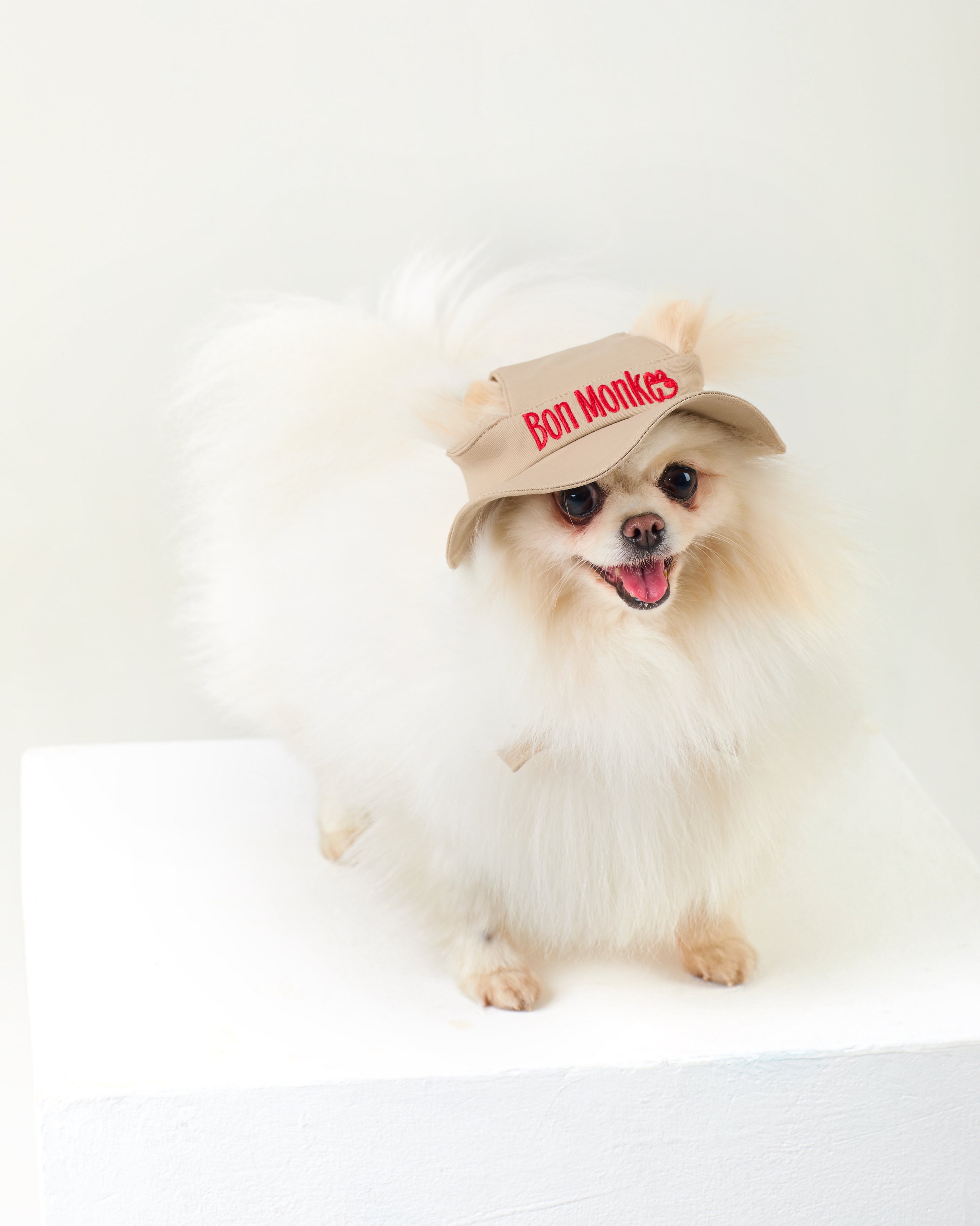 beige summer hat for dogs.jpg
