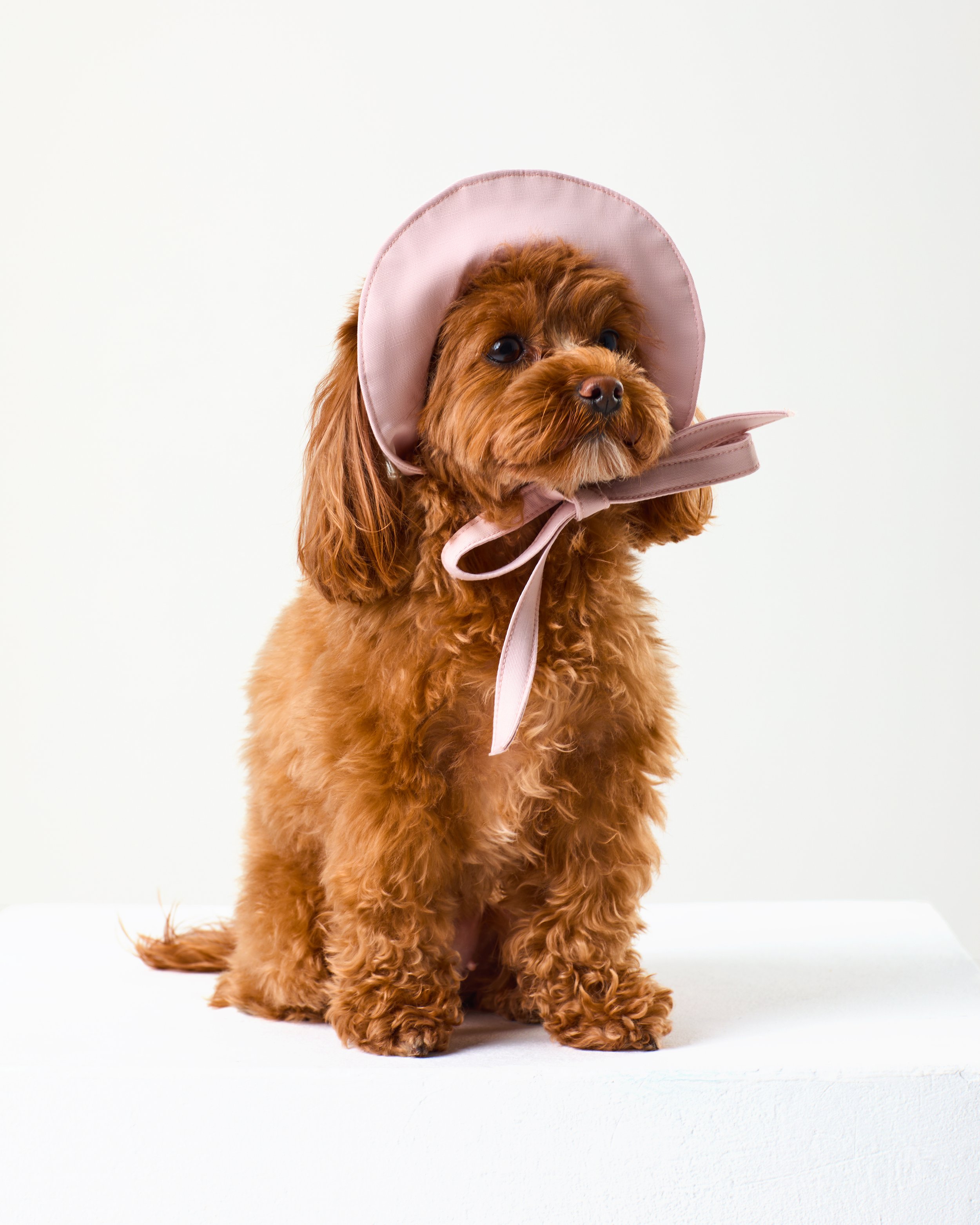 bobn monkee hats in pink.jpg