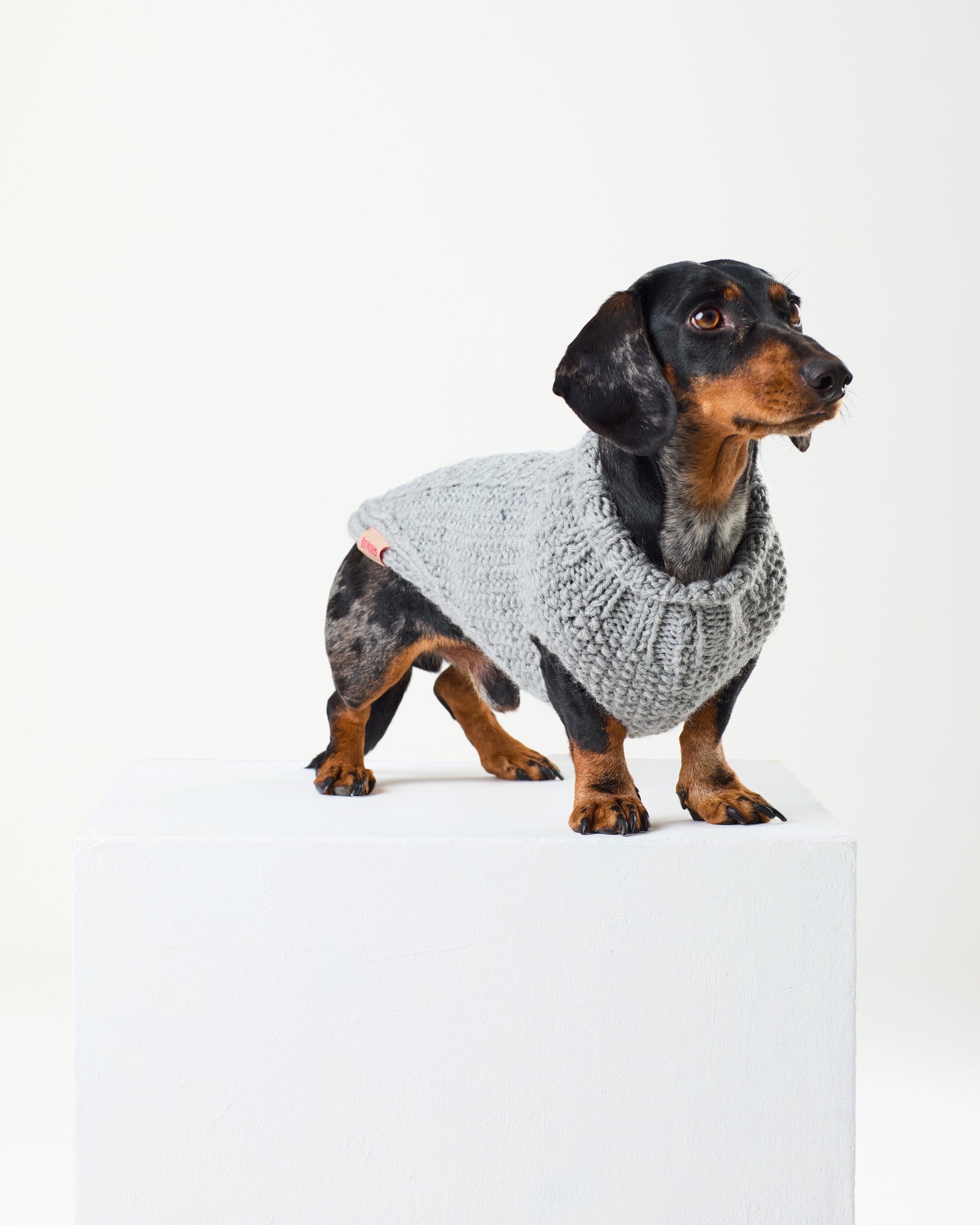 extra warm dog jumper by Bon Monkee.jpg