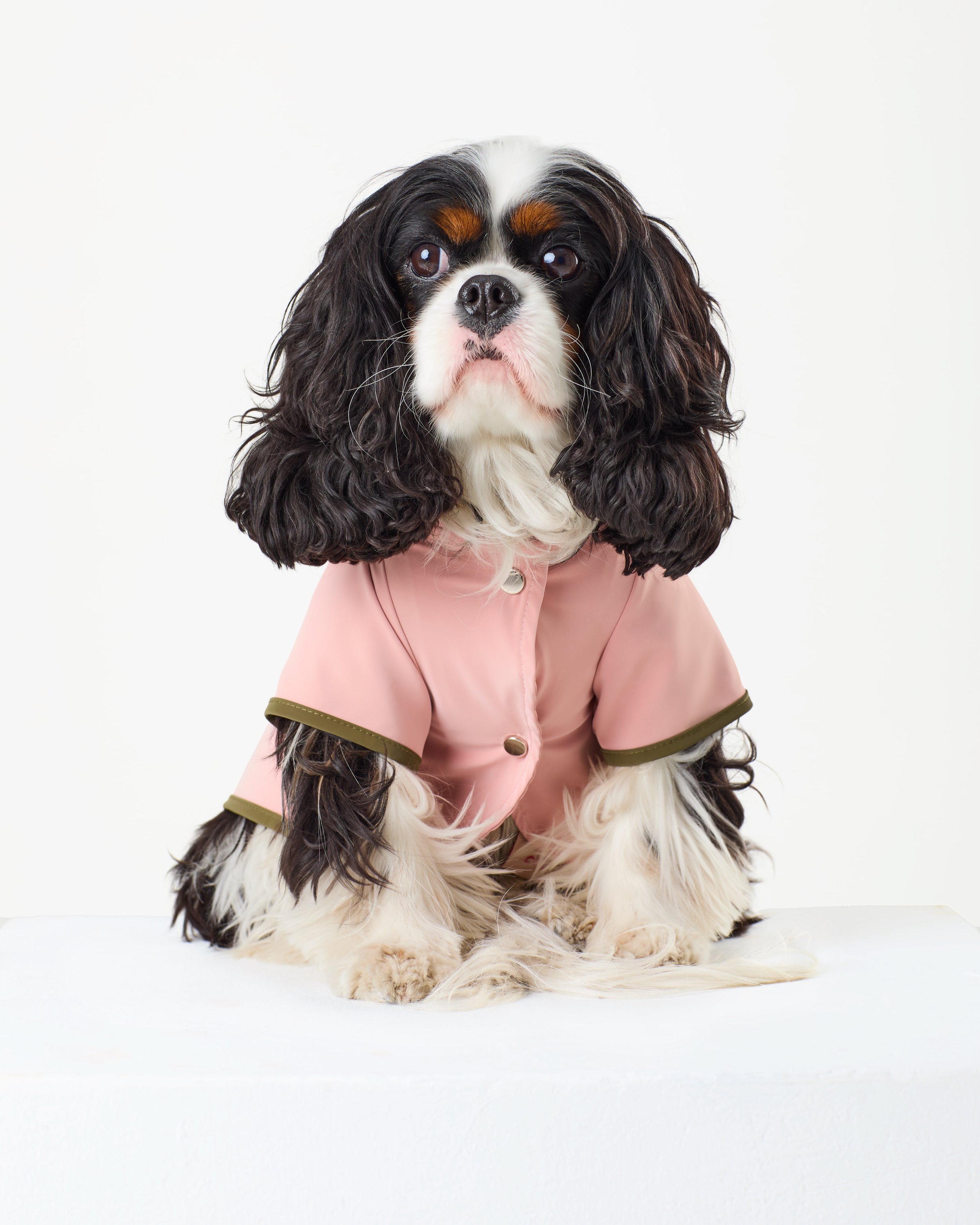 premium raincoats by Bon Monkee.jpg