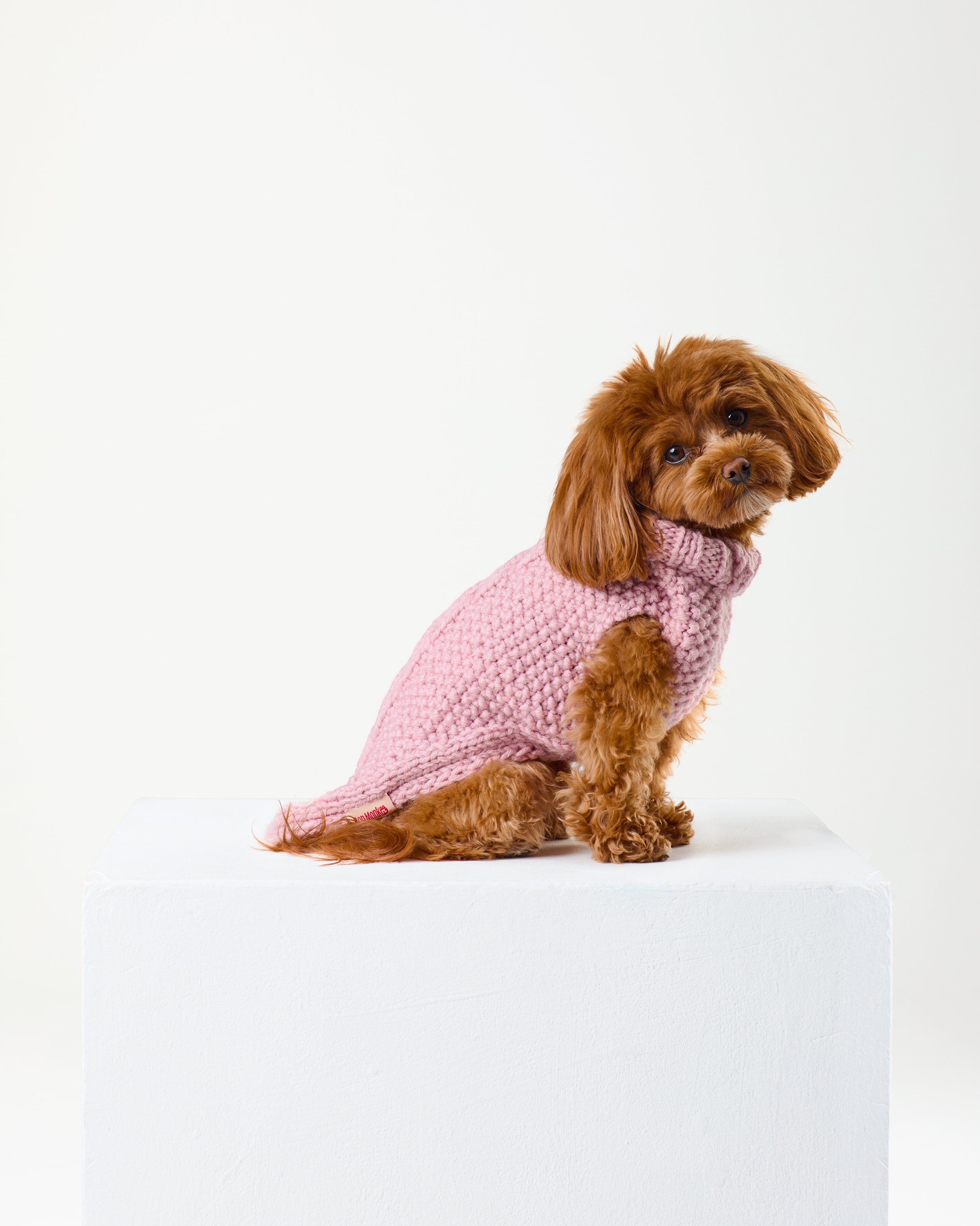 wool dog jumper.jpg
