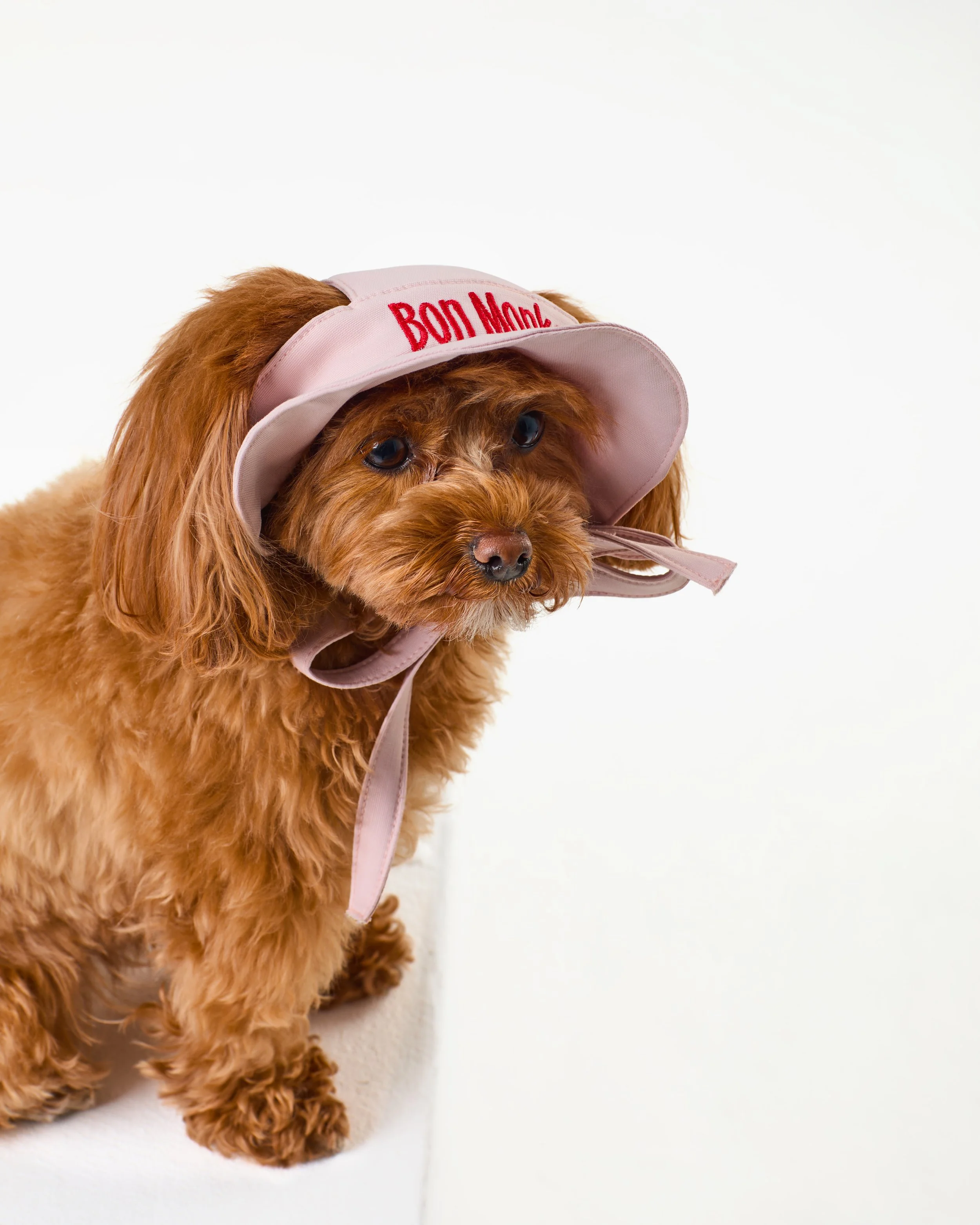 cotton dog hat pink.jpg