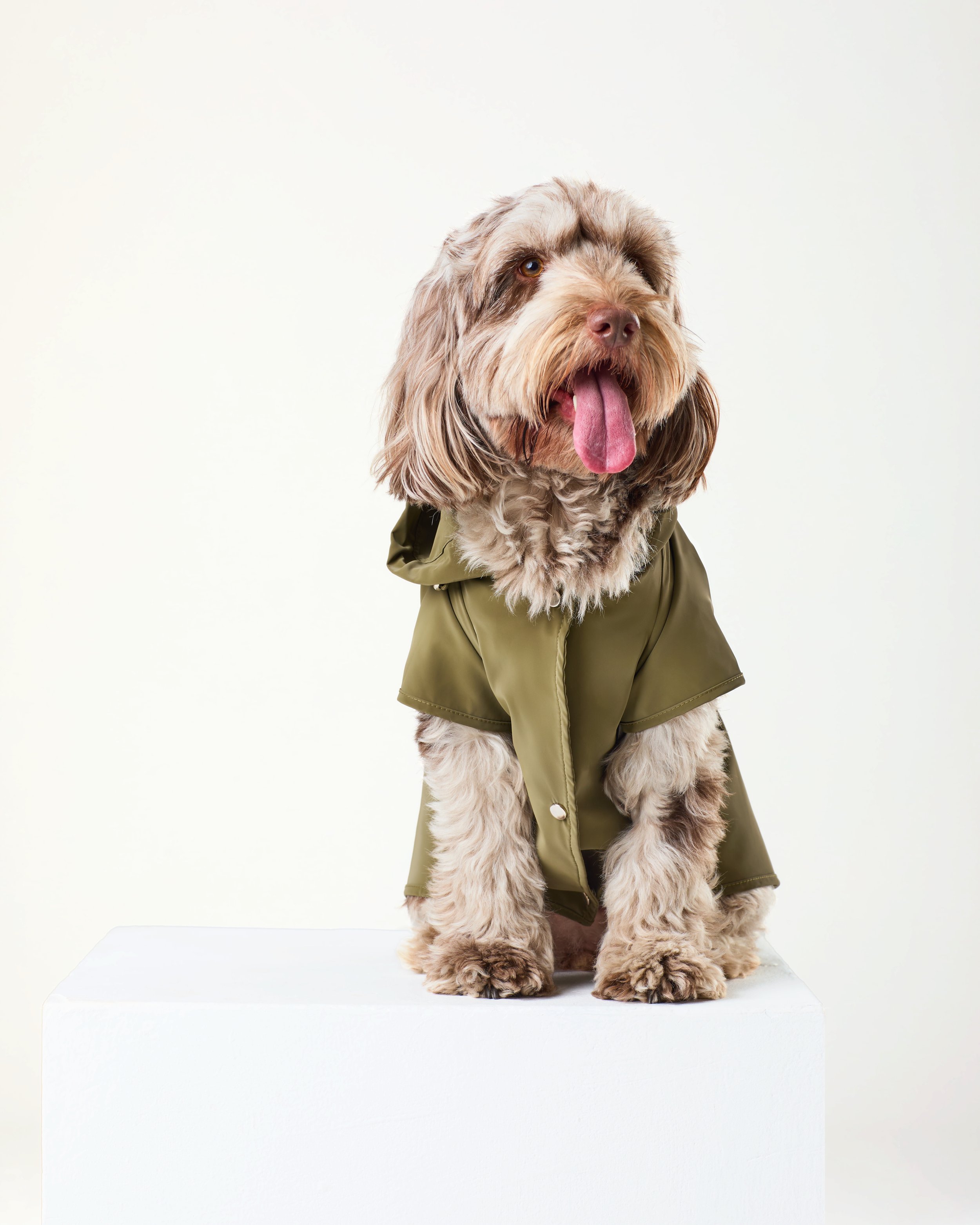 lightweight dog raincoat in green.jpg