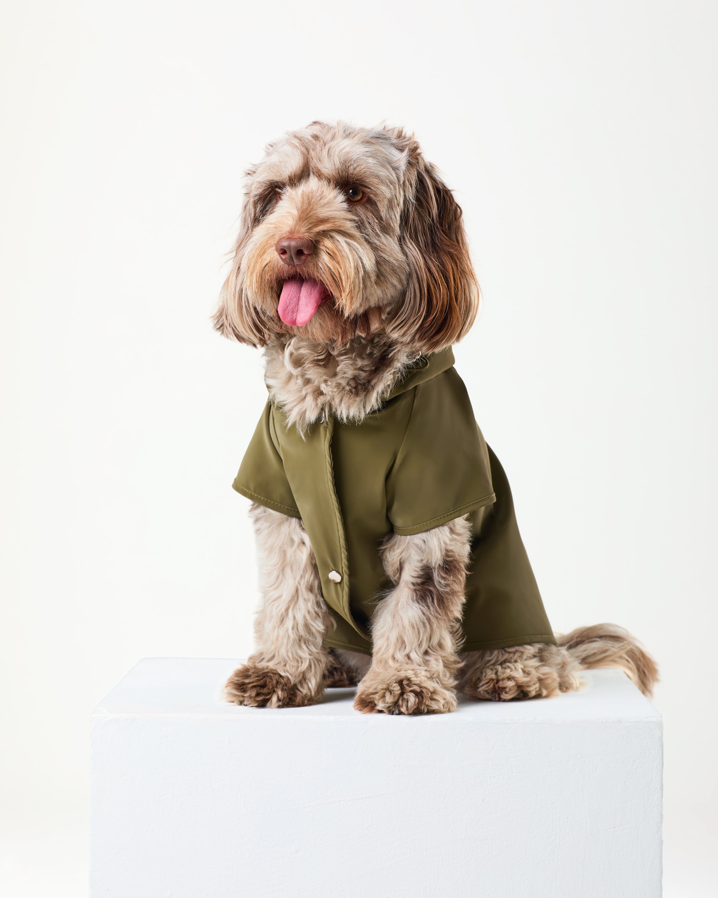 non allergic dog raincoat.jpg