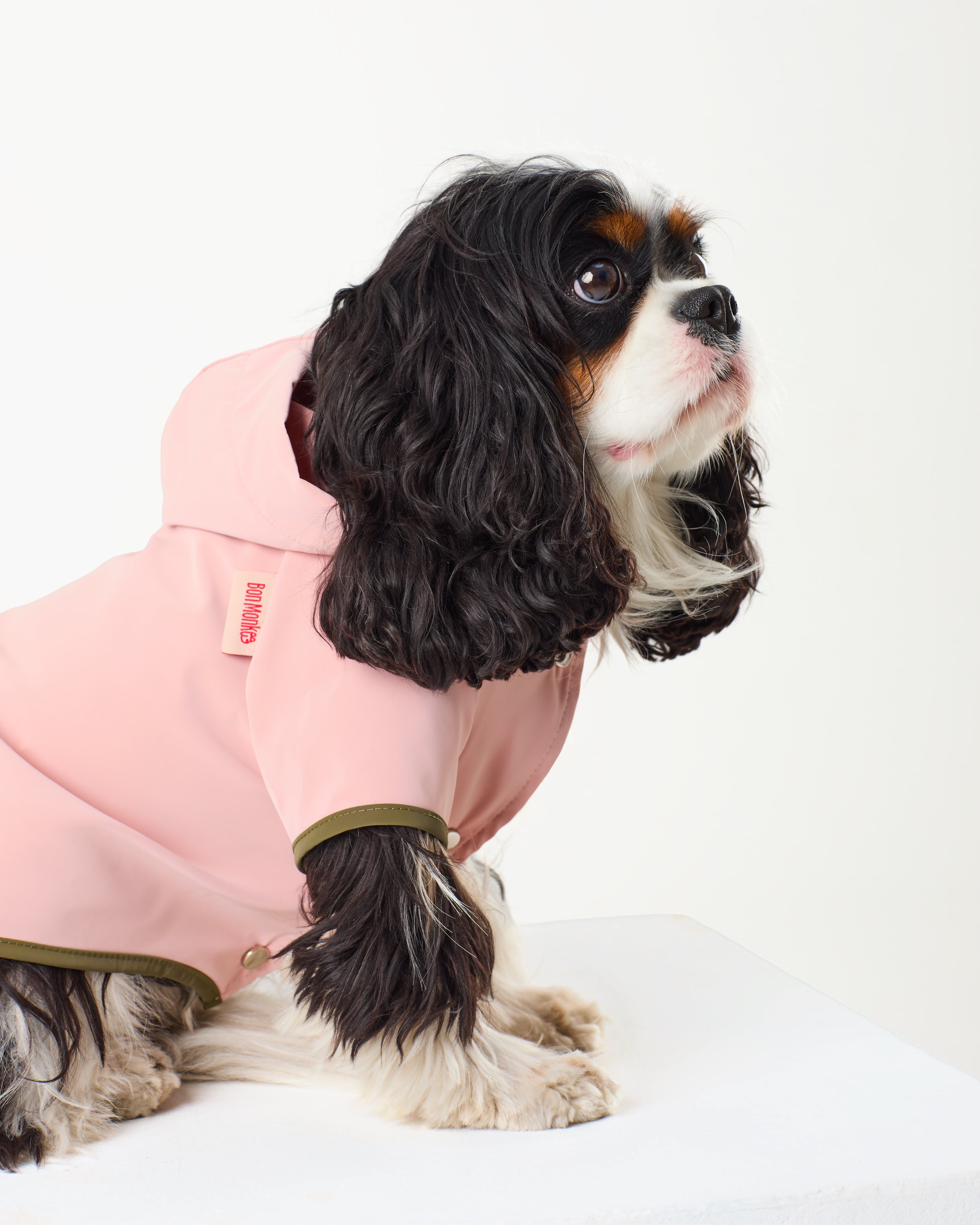 dog raincoat in pink.jpg