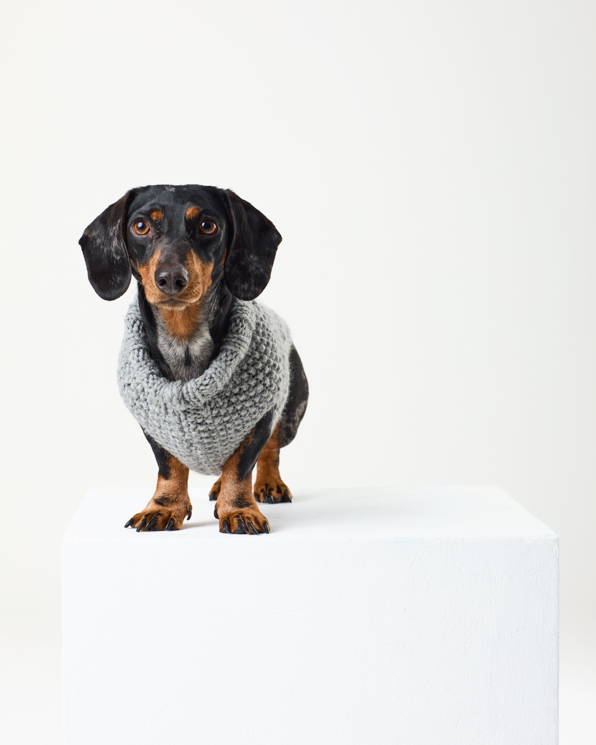 warm and cosy grey jumper for dogs.jpg