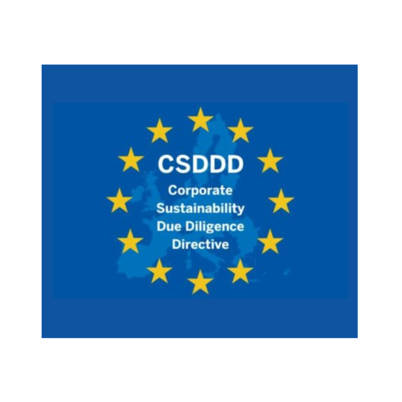 CSDDD logo.png