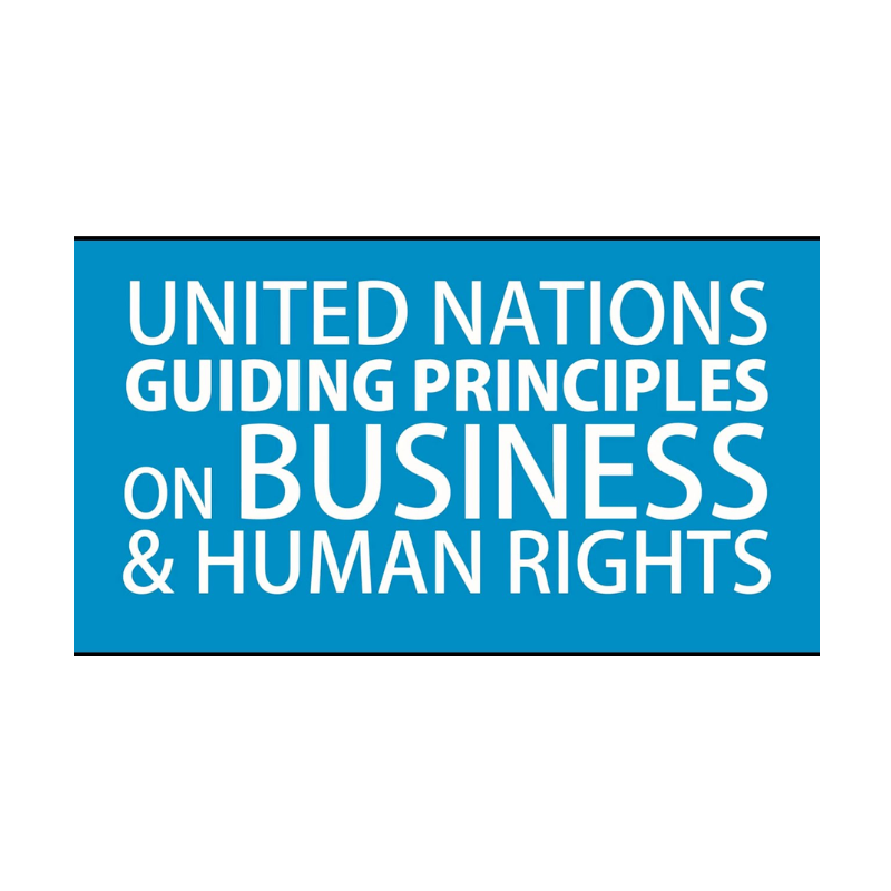 UNGP.png