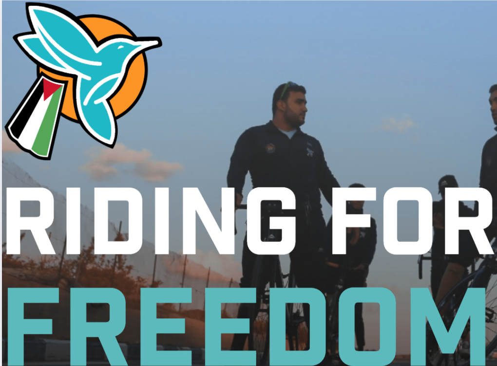 Screenshot 2025-09-11 at 12.11.08.png