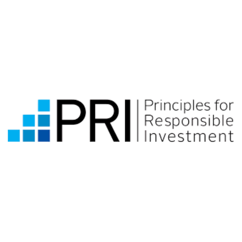 UN PRI logo.png