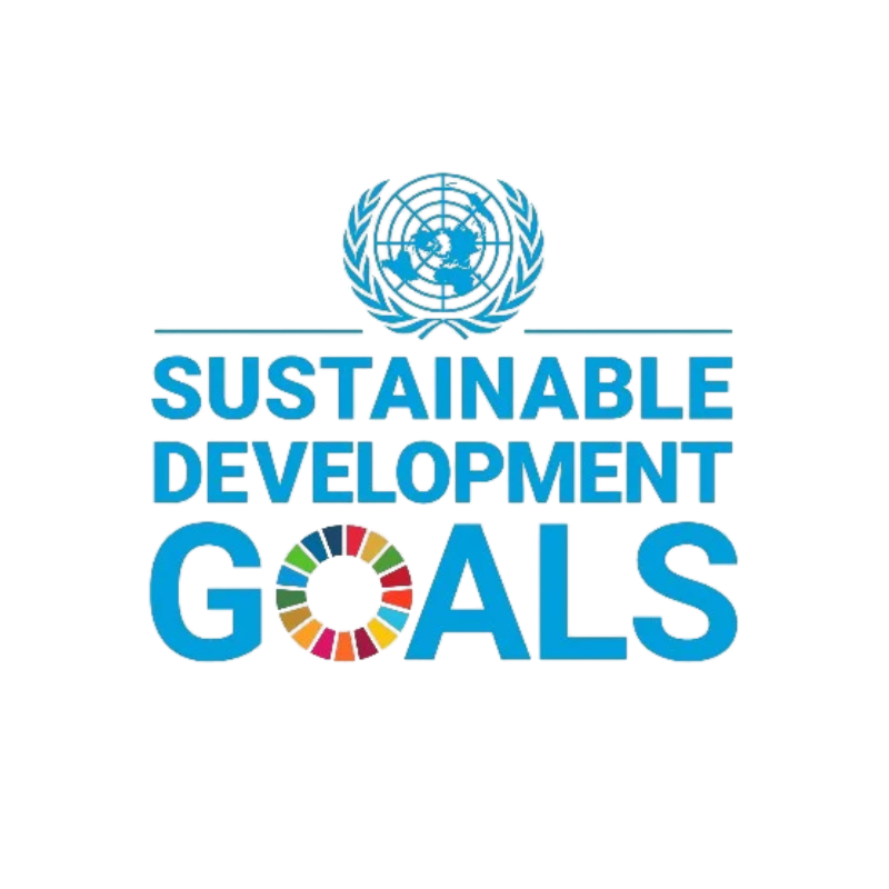 SDG logo (1).png