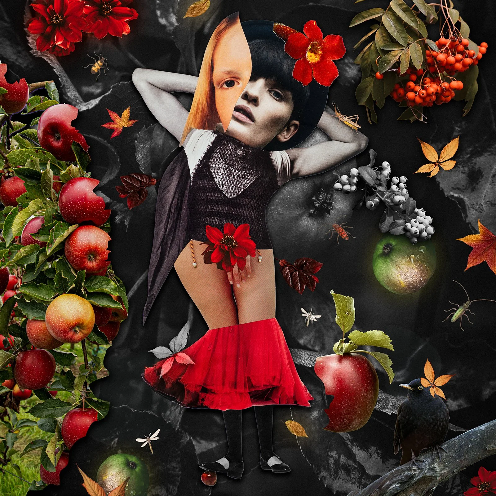 apples.jpg