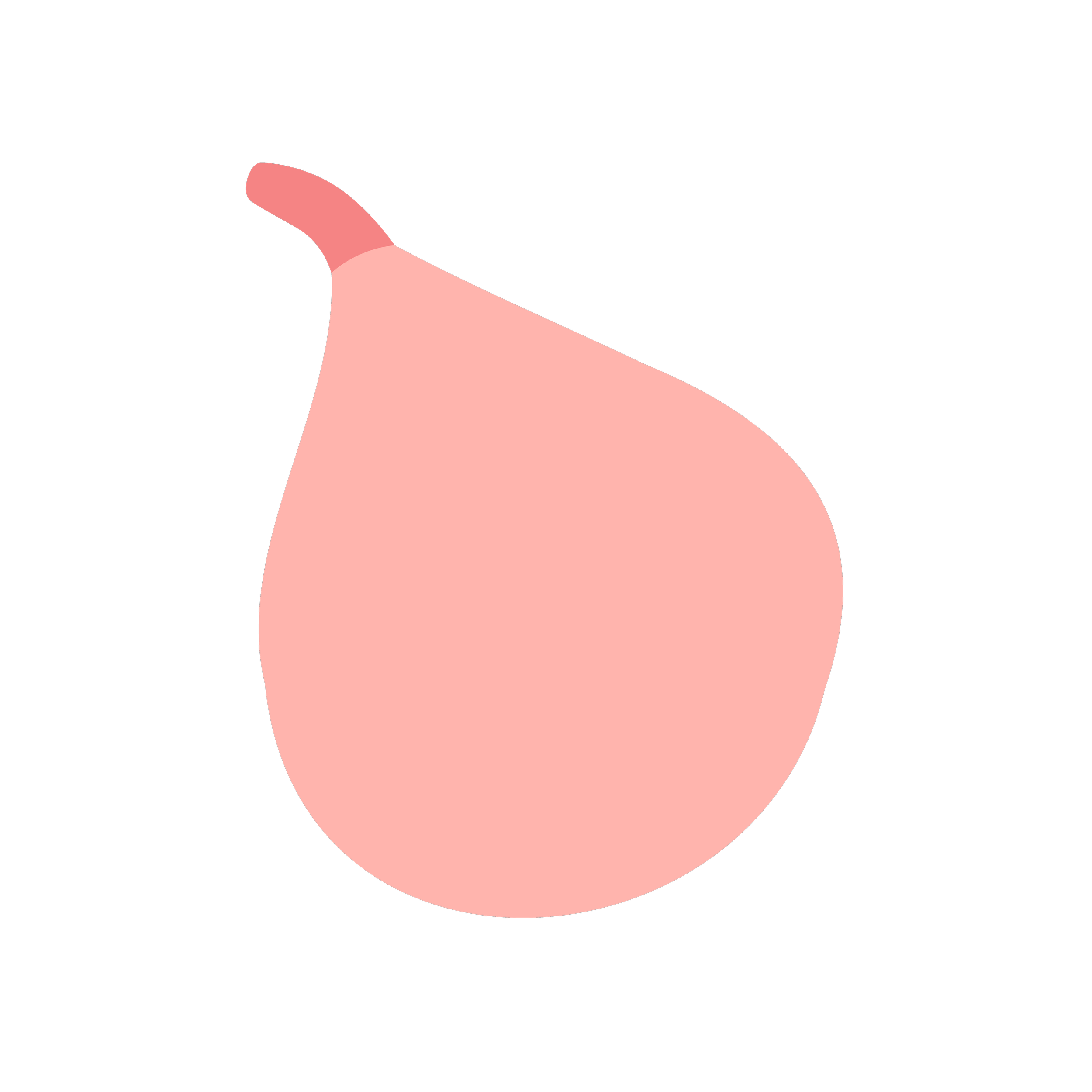 WIld Fig Graphics-01.png