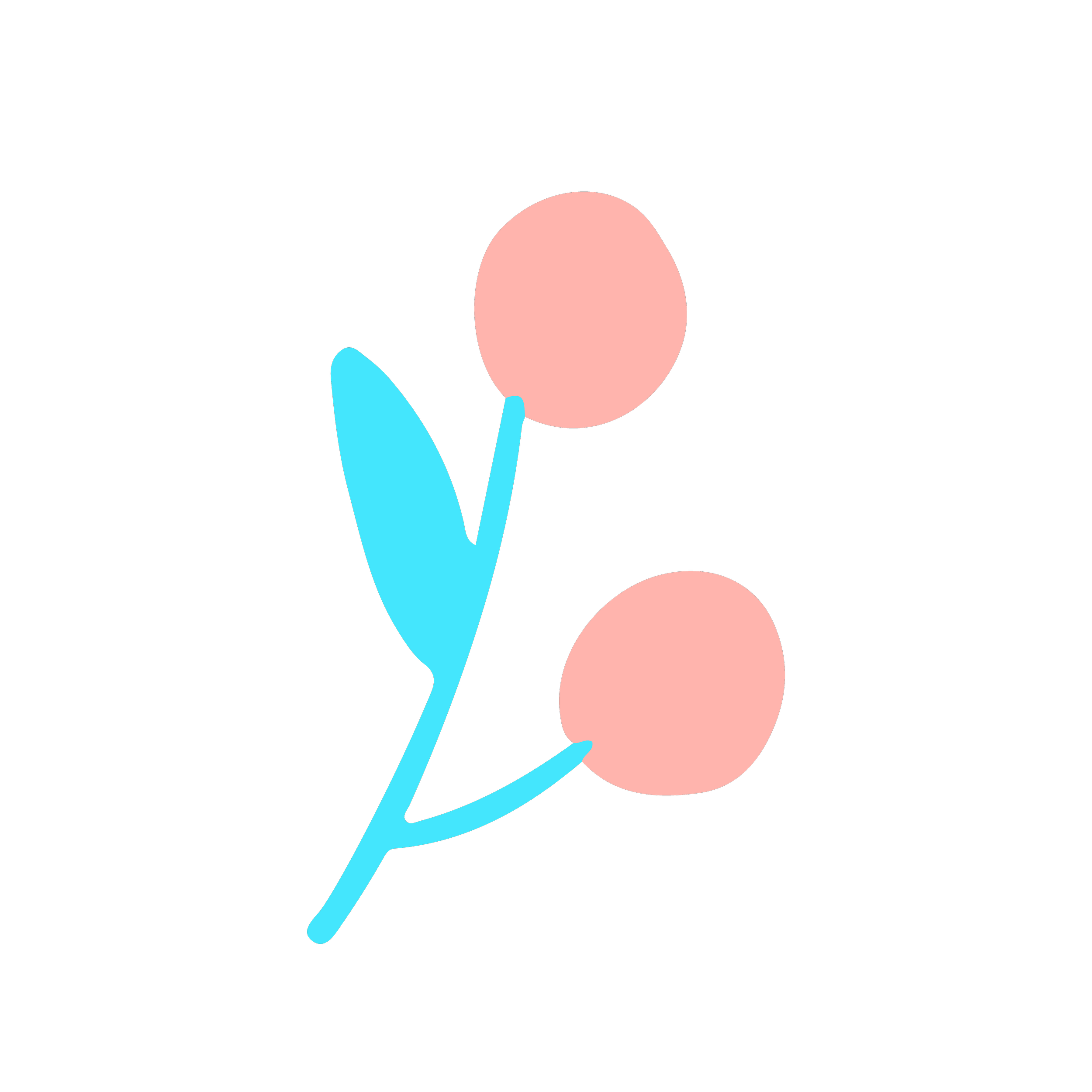 WIld Fig Graphics-08.png