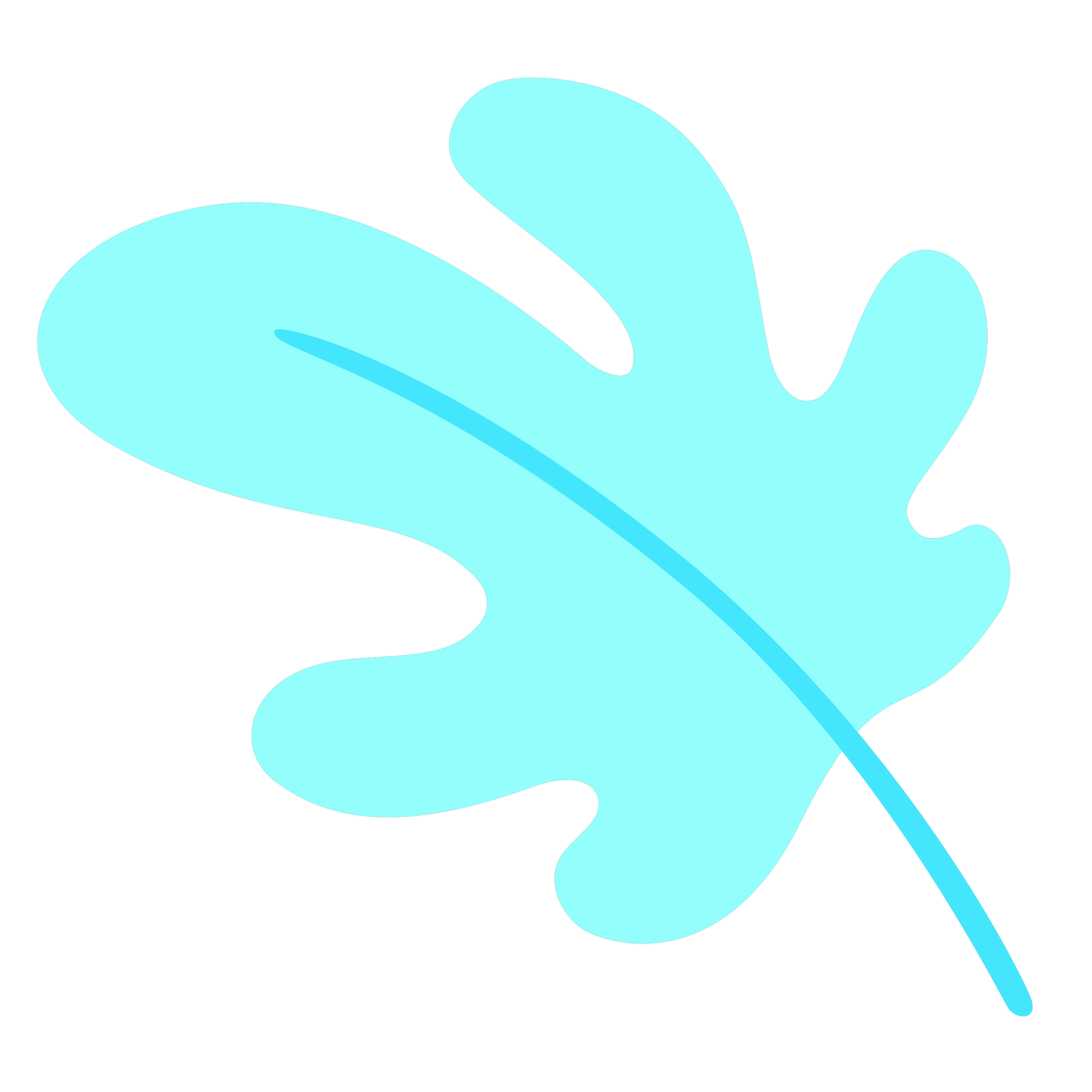 WIld Fig Graphics-02.png