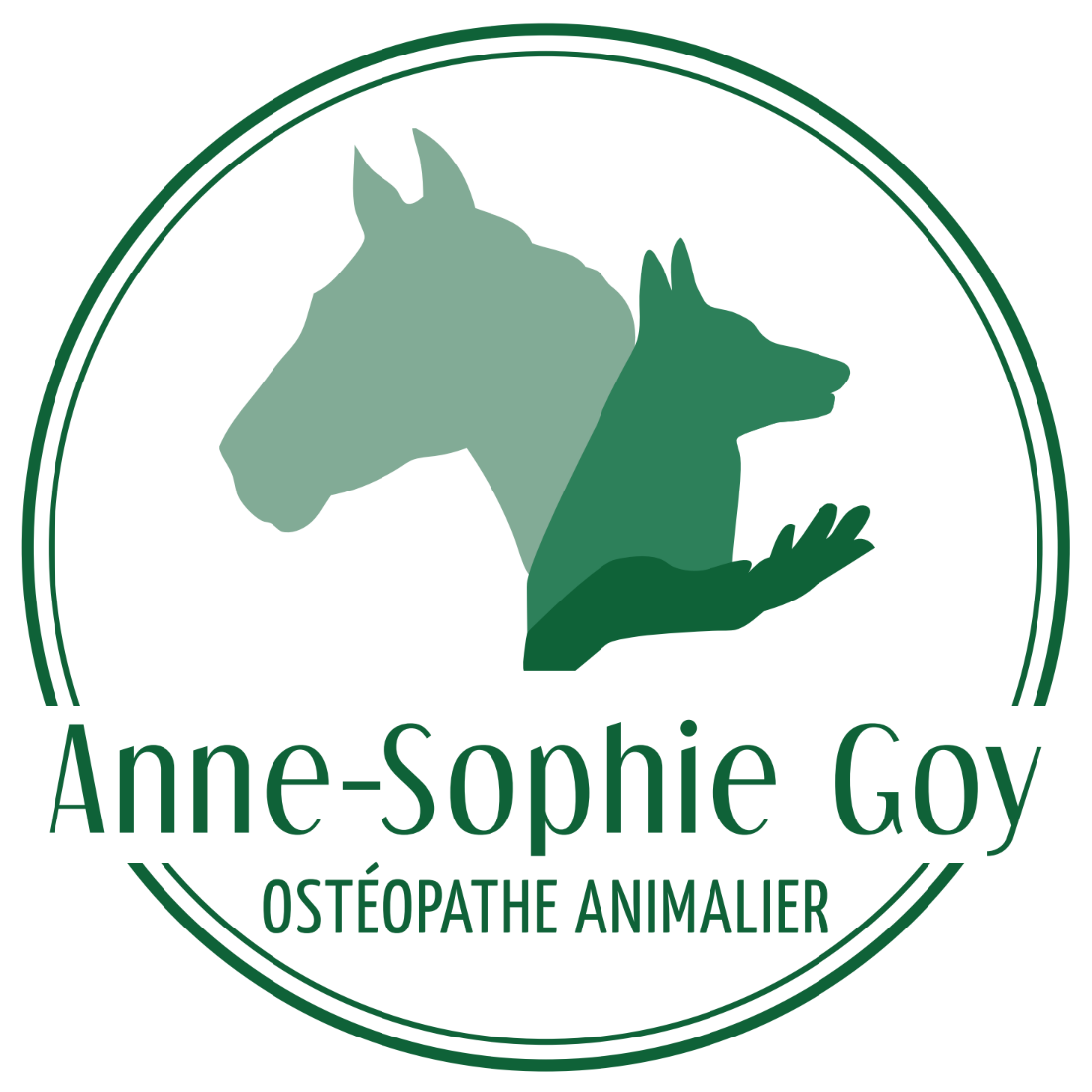 Anne-Sophie Goy - Ostéopathe animalier