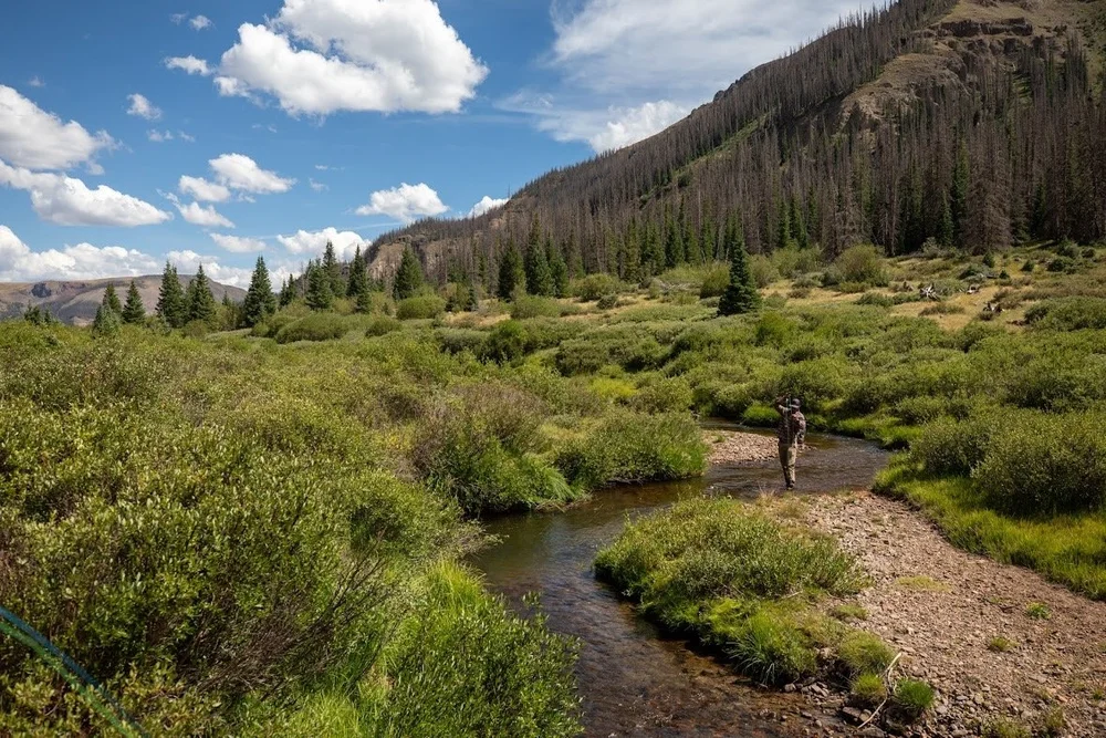 Fish Fly Fishing Guides In Creede, Colorado Frazier Outfitting