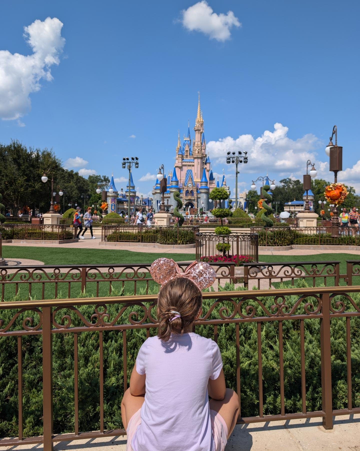 🏰🐭🎆 never gets old