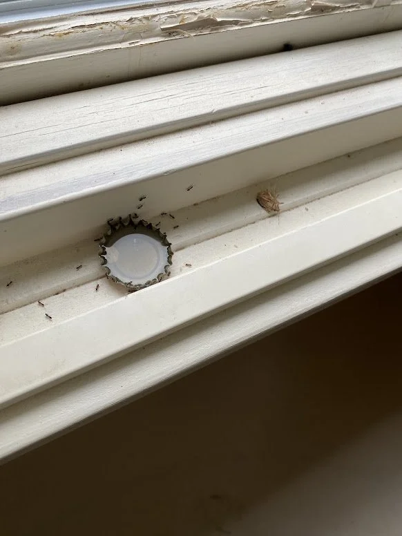 Bottle cap as a mini bait station in a tight space