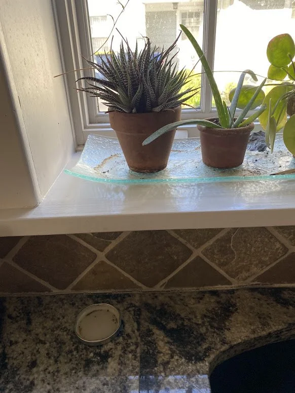 Old lid repurposed for a bait station