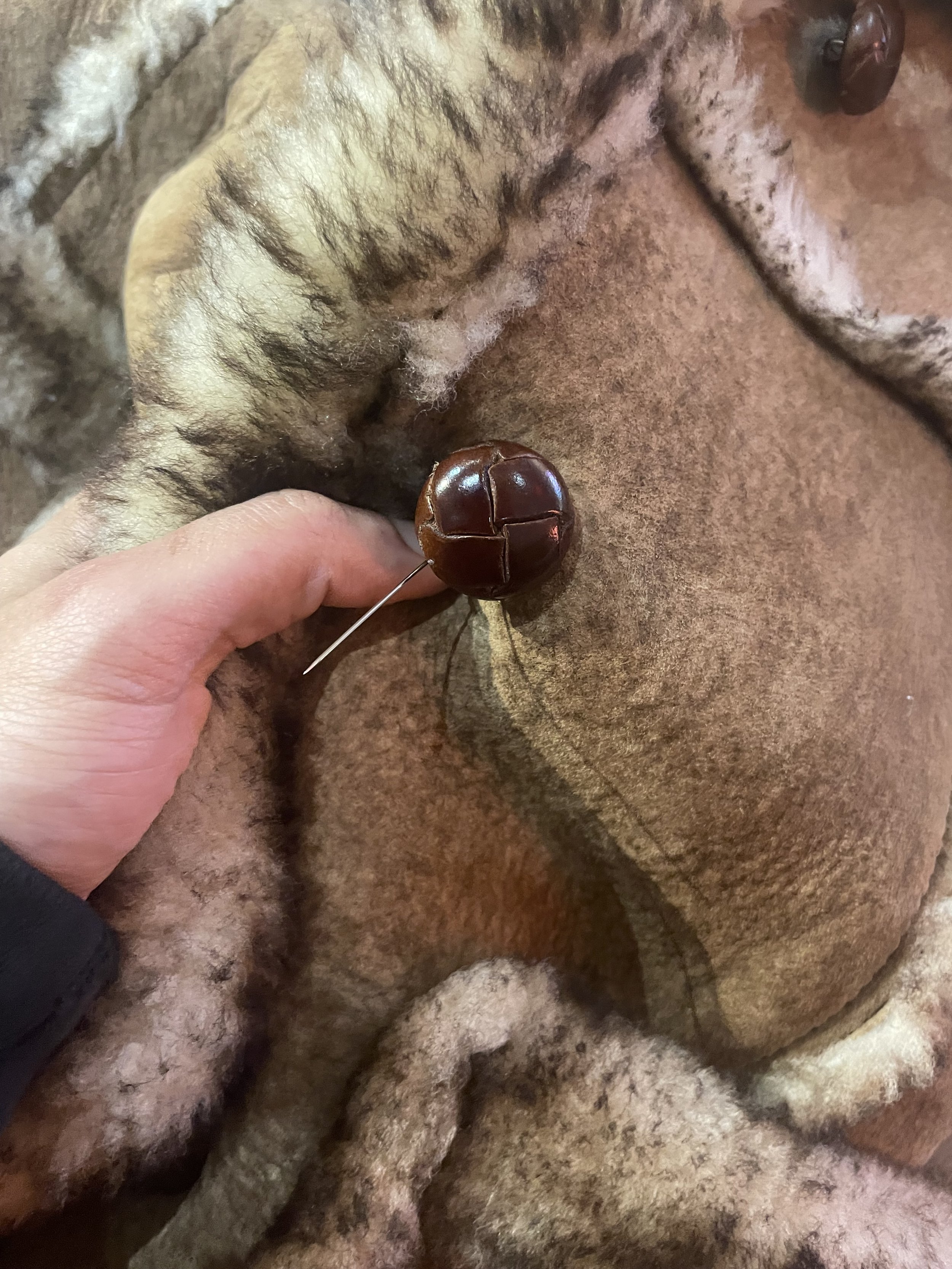 Foto 1-15-24, 5 59 05 p.m..jpg