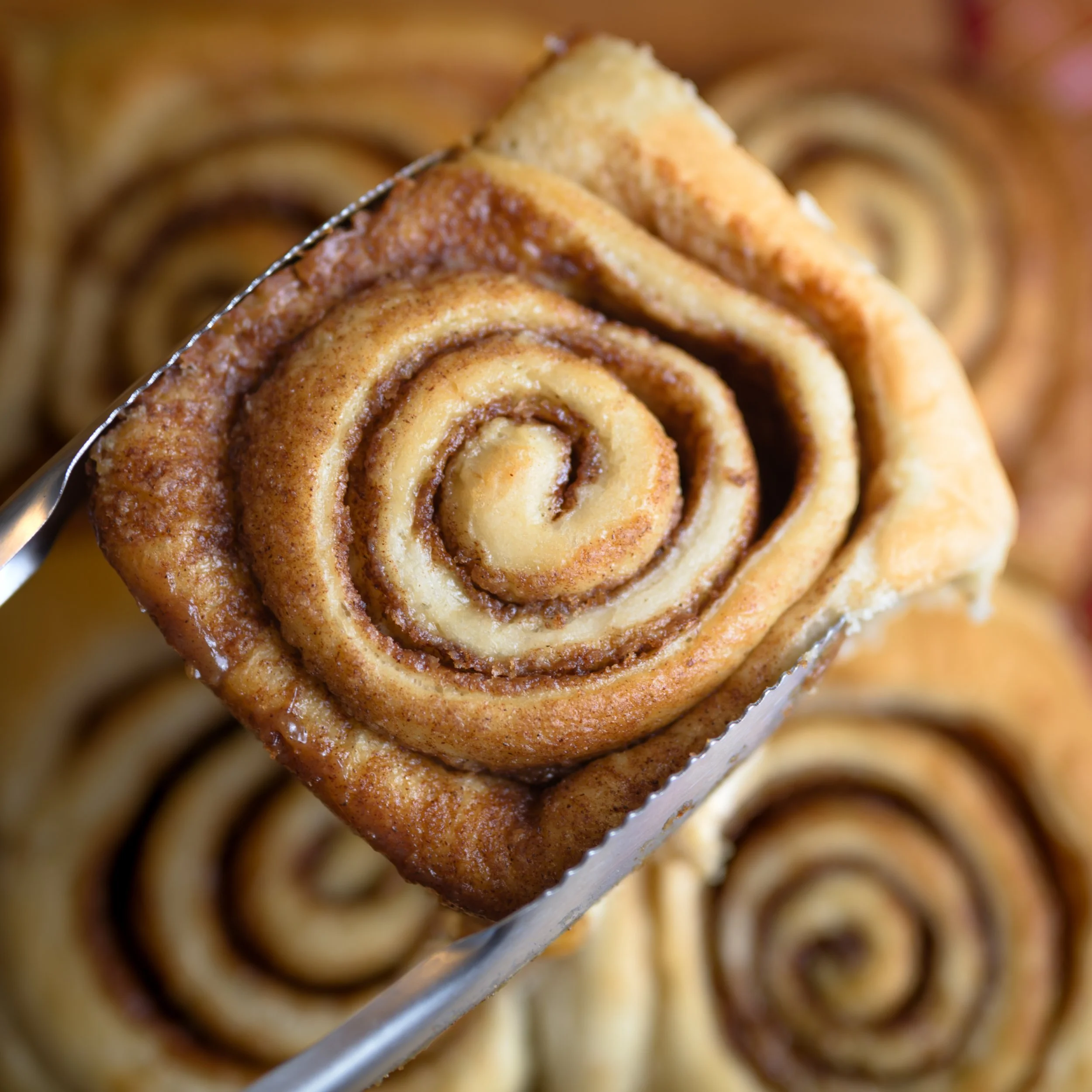 cinnamon roll-8545.jpg
