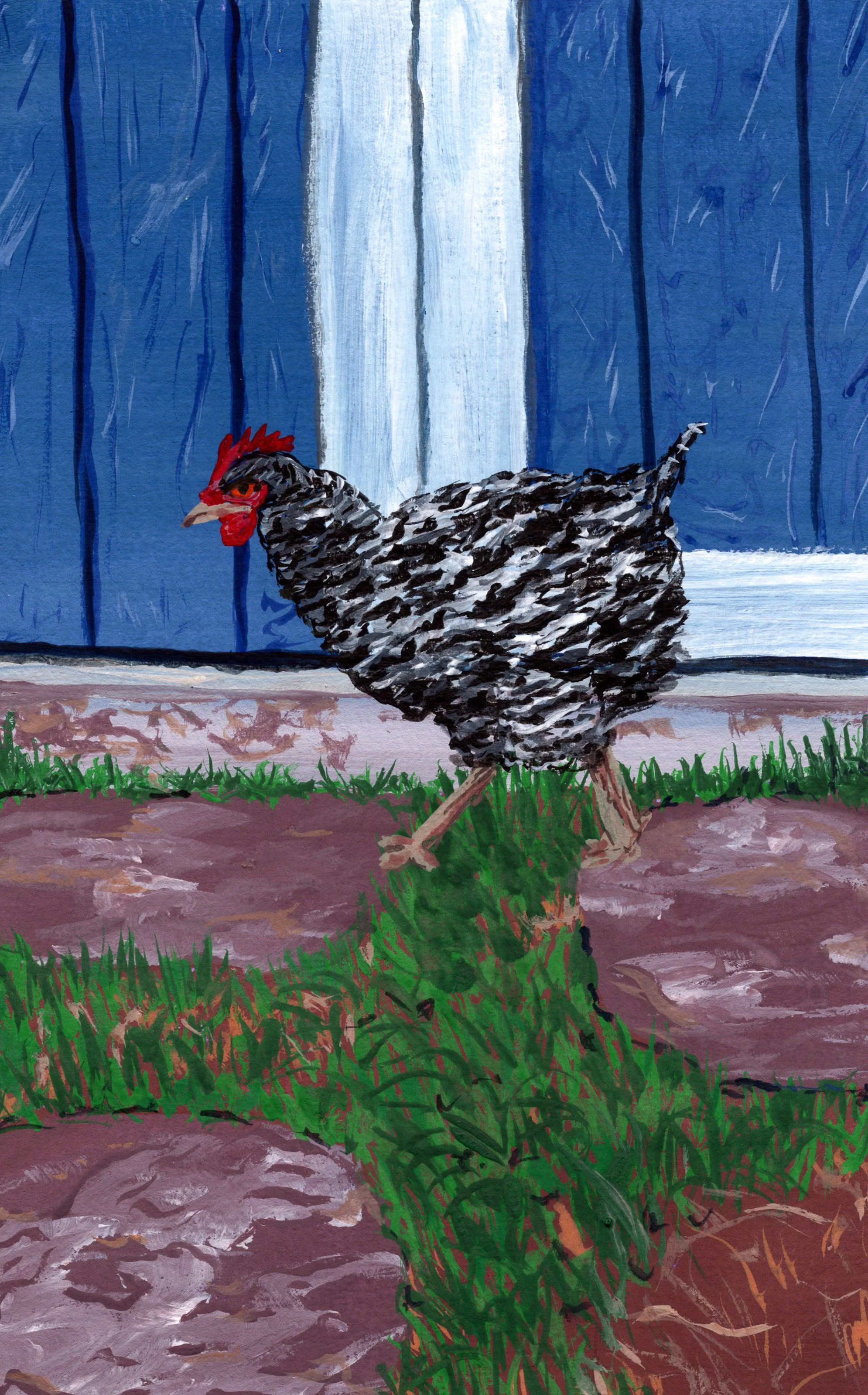 Day 24  - Backyard Chicken