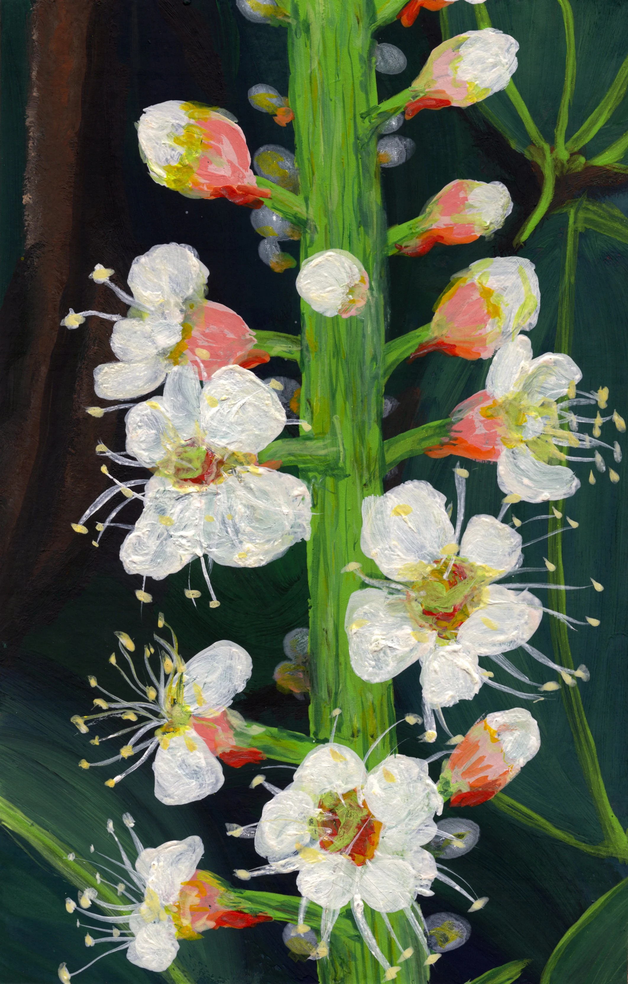 Day 7 -  Cherry Laurel