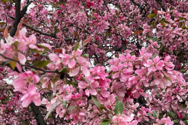 Foods that can boost your breastmilk supply and what to avoid…