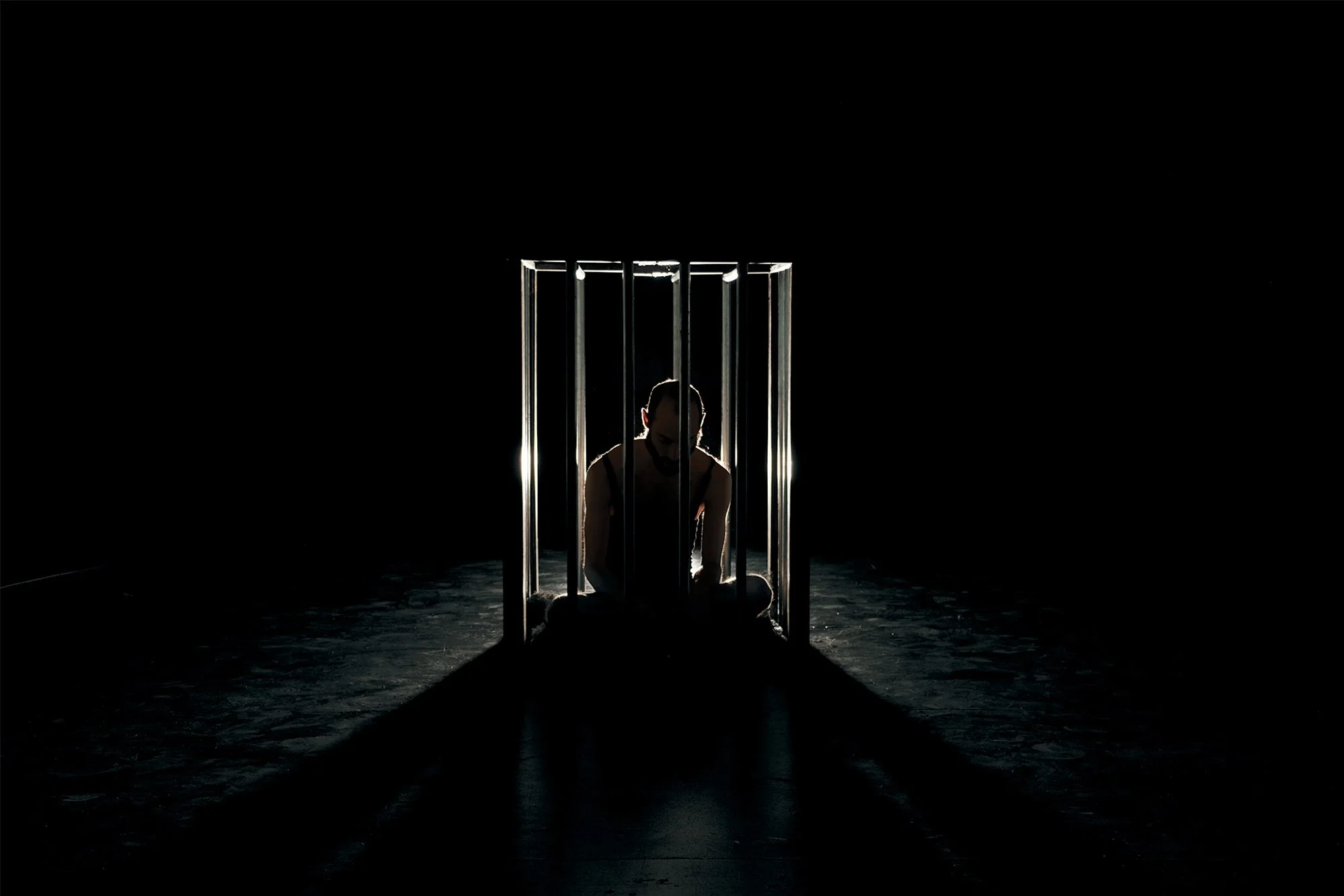 HA cage.jpg